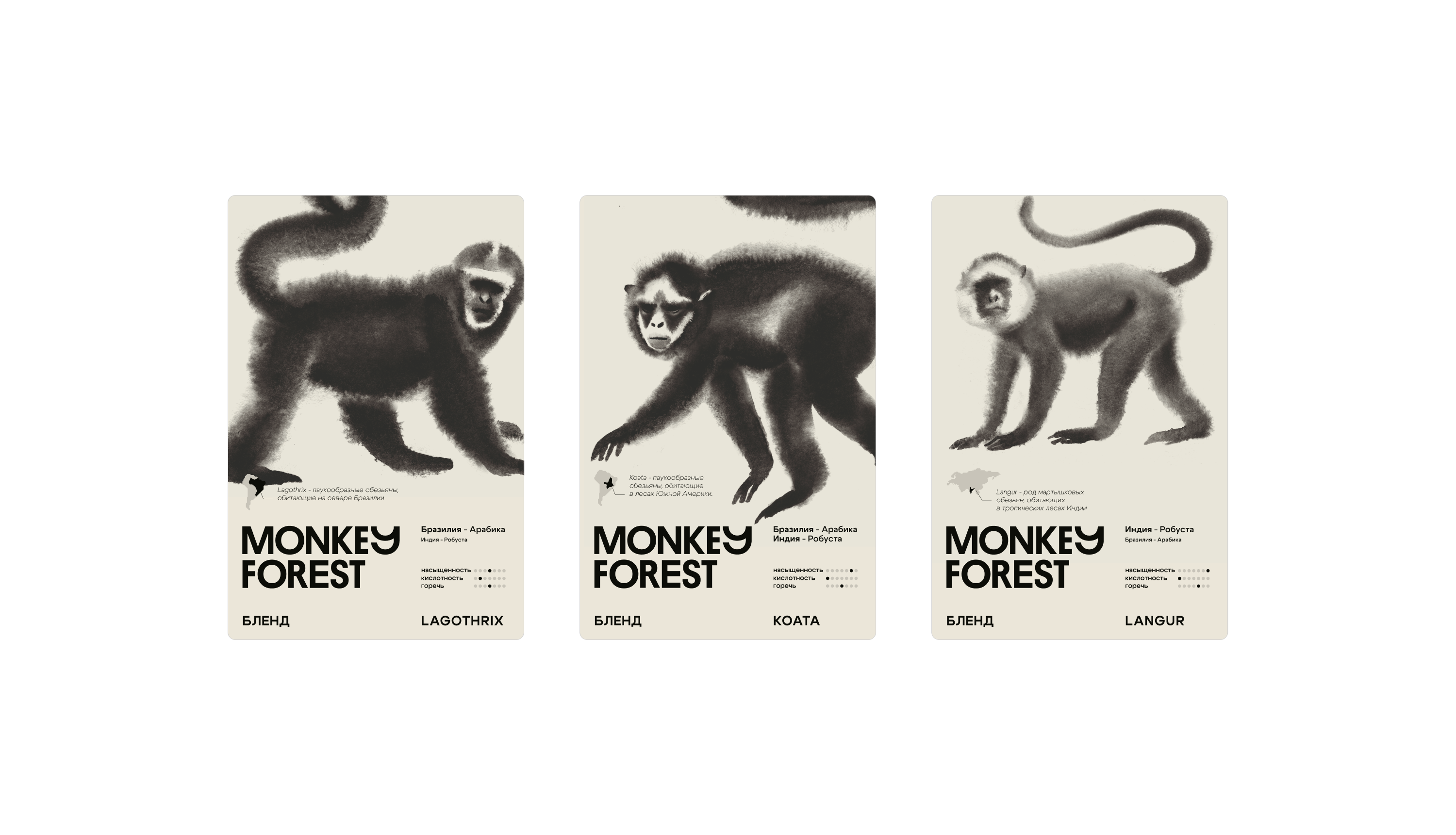 Monkey Forest — Изображение №9 — Брендинг на Dprofile