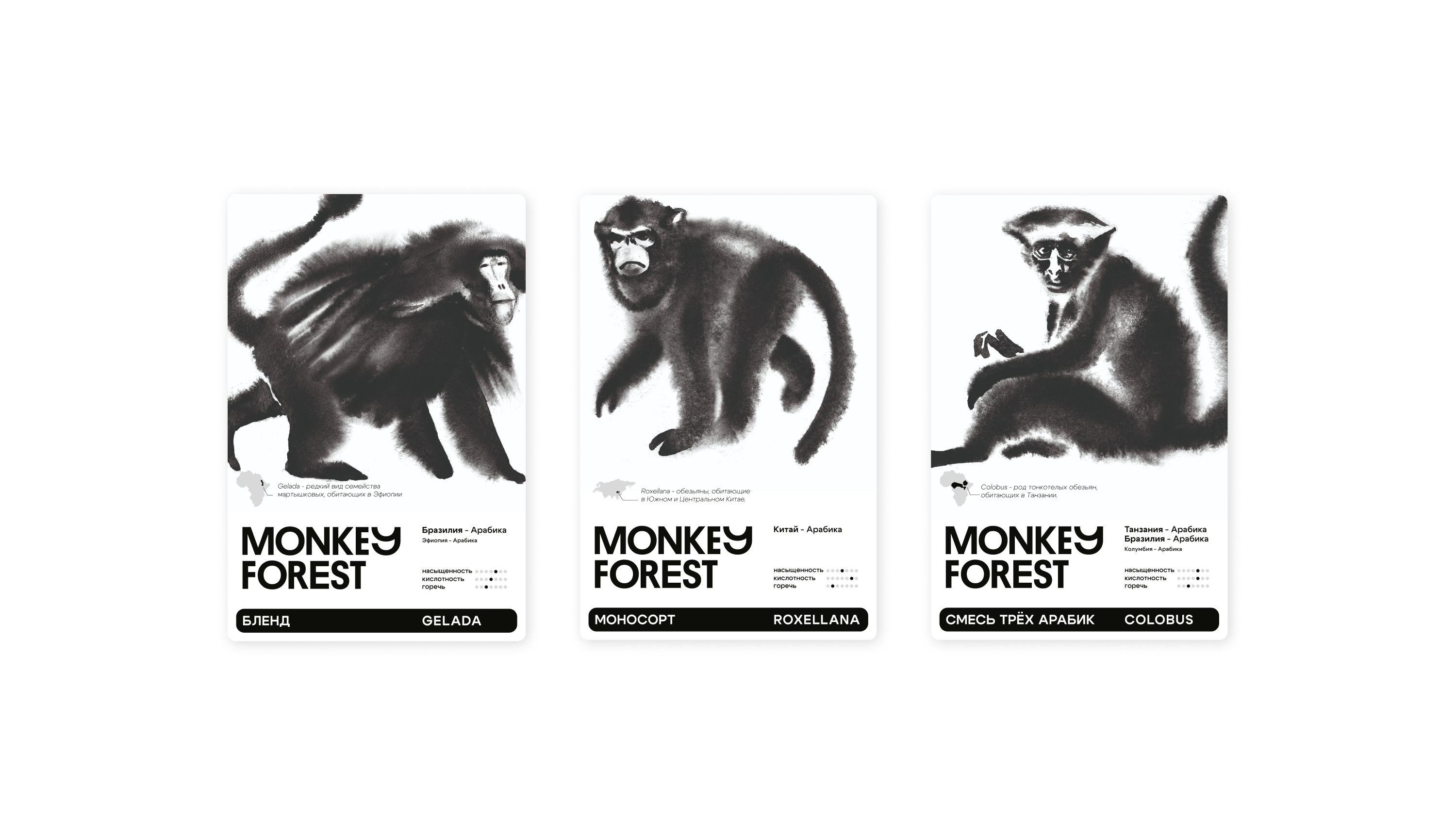 Monkey Forest — Изображение №7 — Брендинг на Dprofile