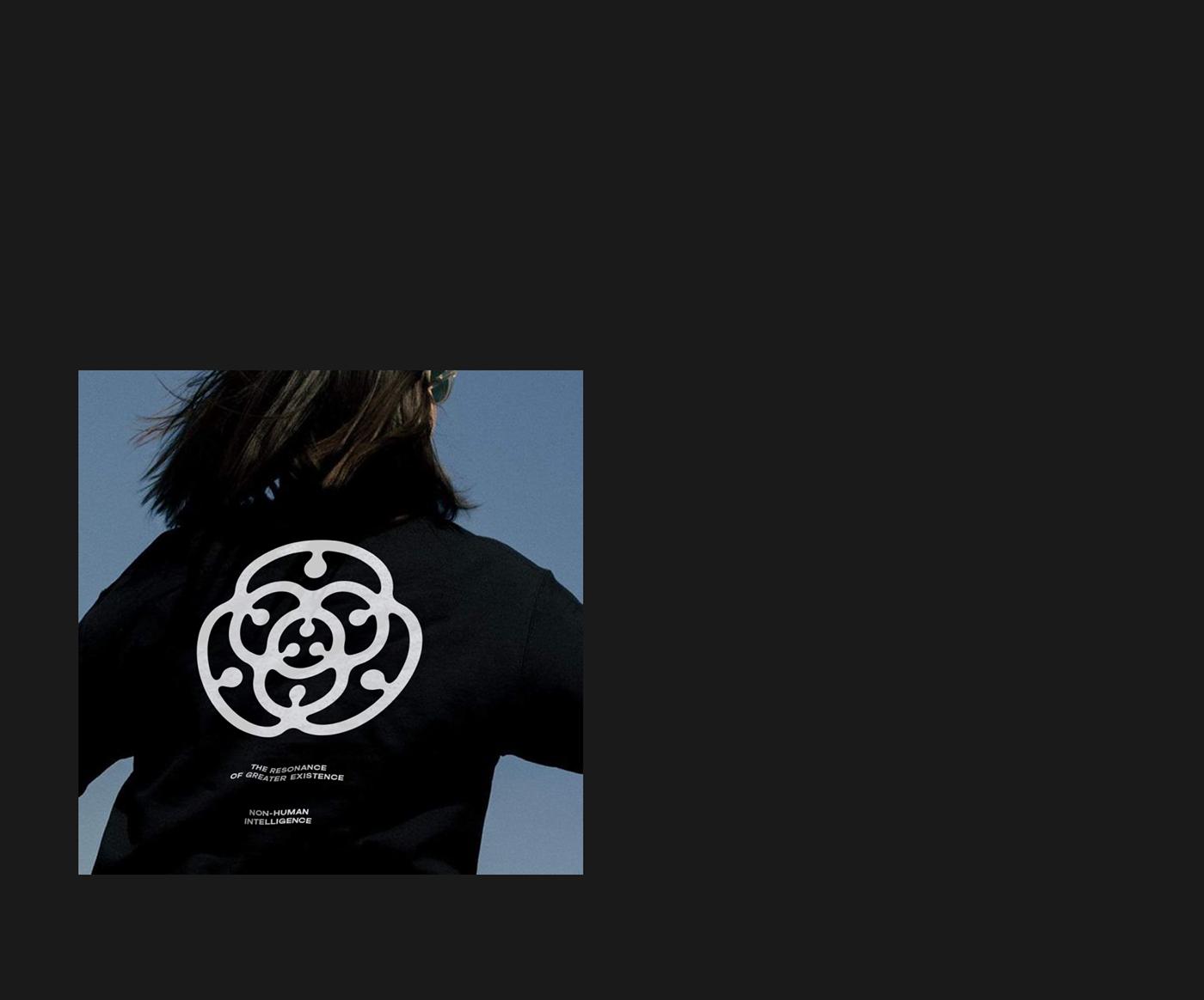 Non-Human Intelligence. Logo and website — Изображение №9 — Интерфейсы, Брендинг на Dprofile