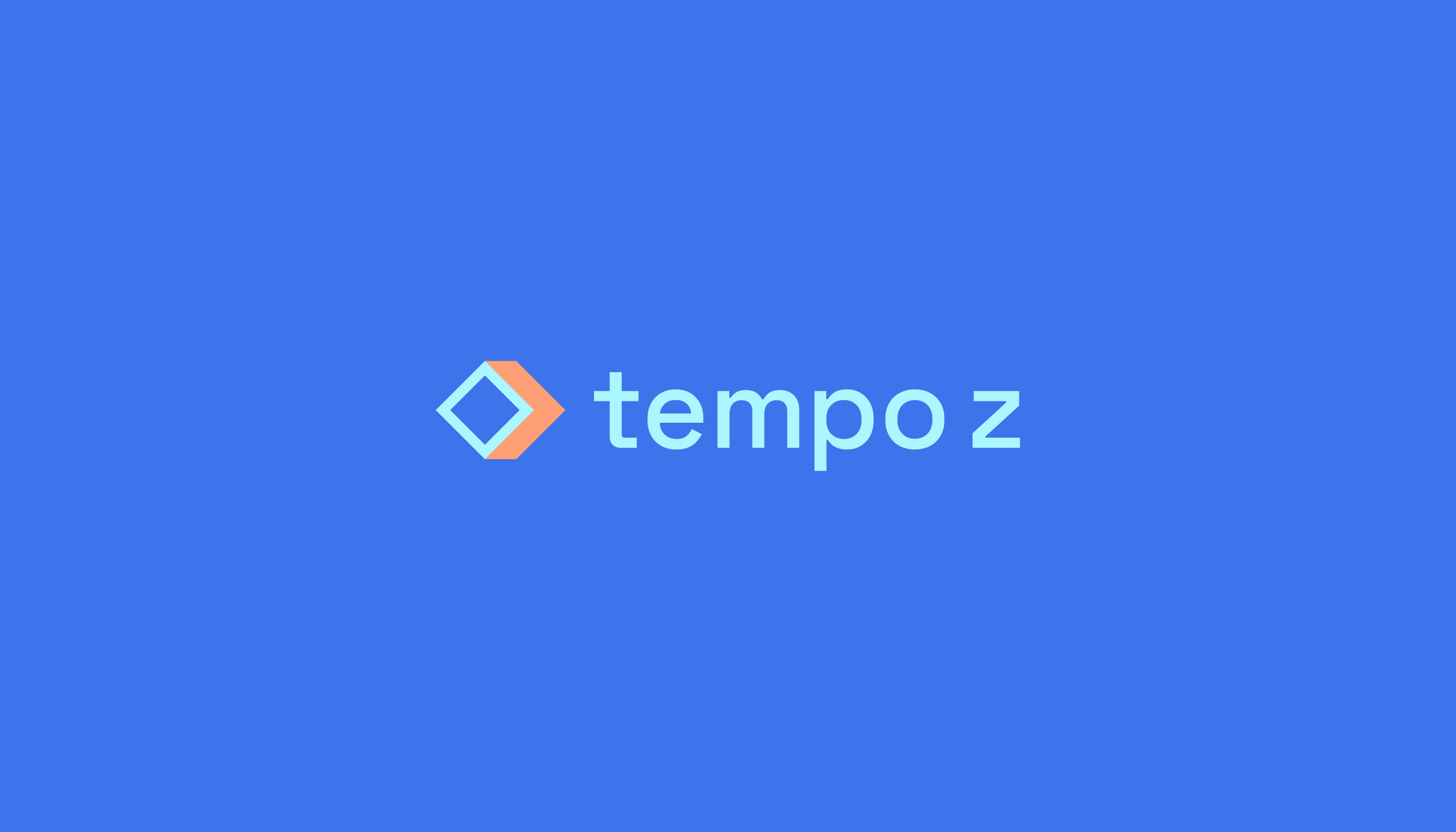 tempo z — Изображение №2 — Брендинг, Графика на Dprofile