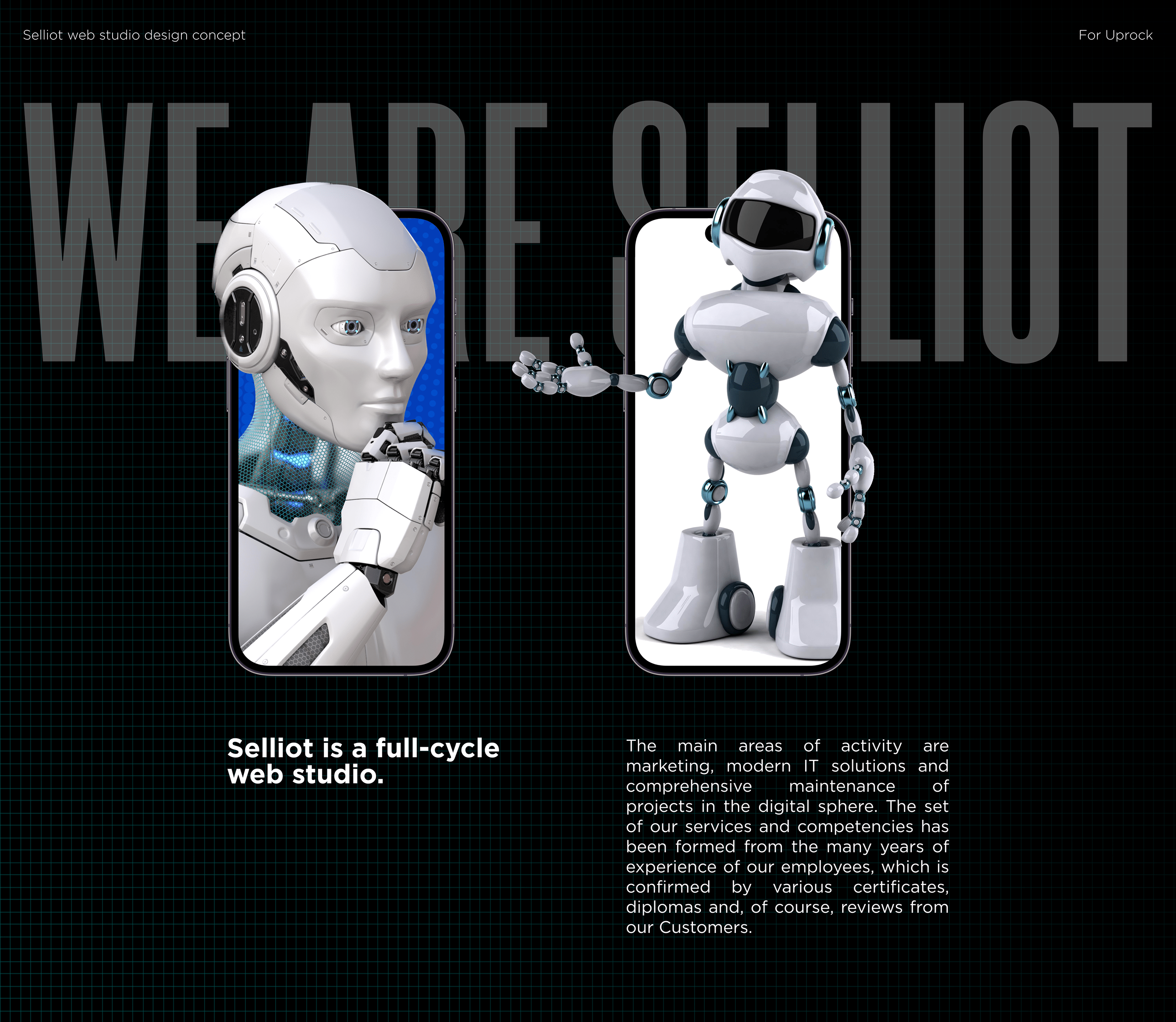 Selliot Agency Website Design — Изображение №1 — Интерфейсы на Dprofile