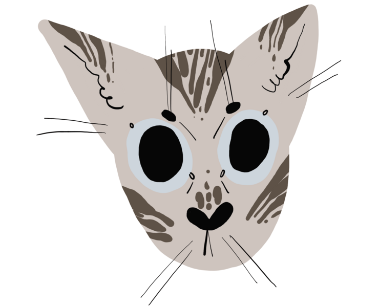 коты — Иллюстрация на Dprofile