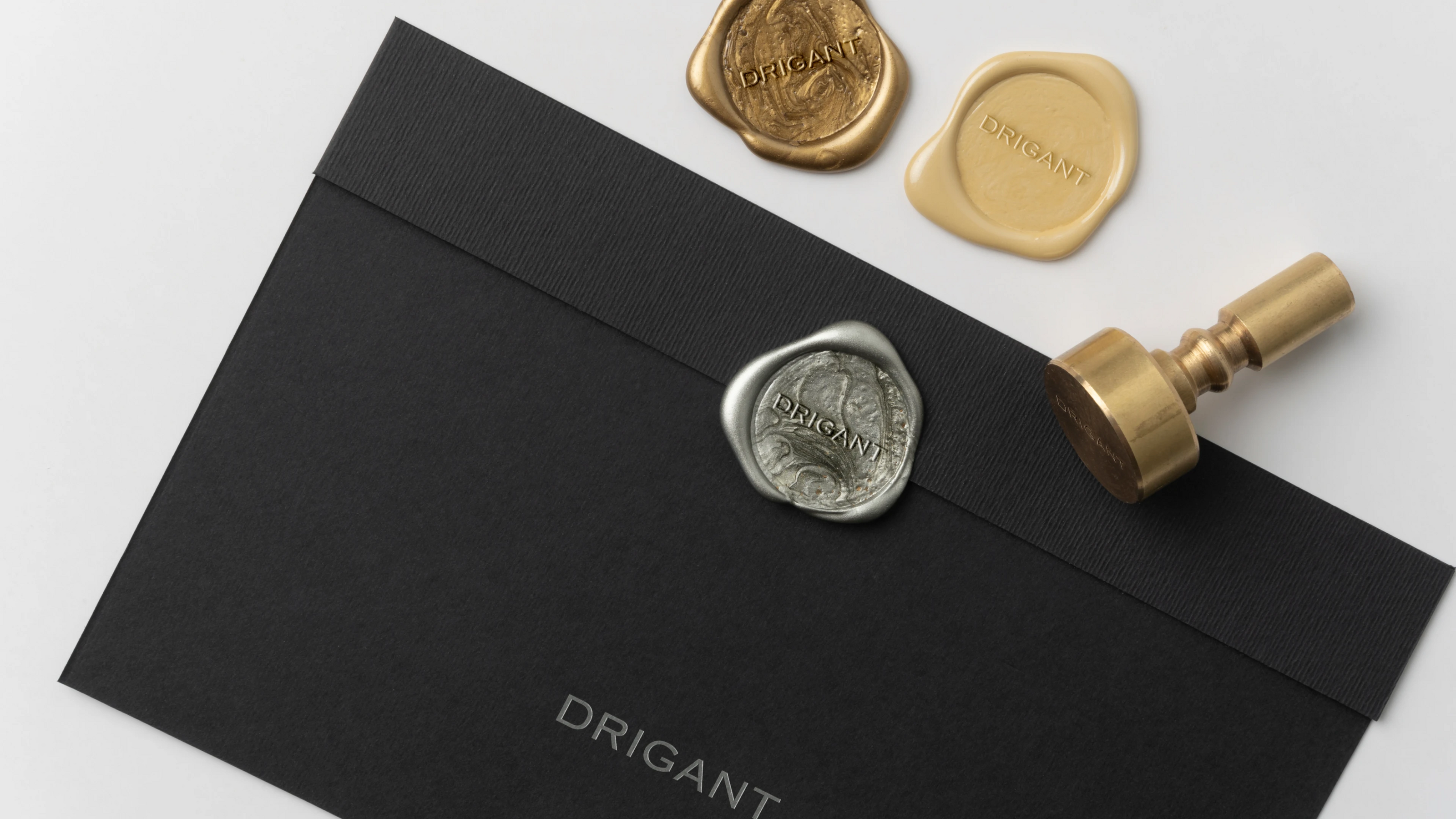 DRIGANT | Brand Identity — Изображение №4 — Брендинг, Анимация на Dprofile