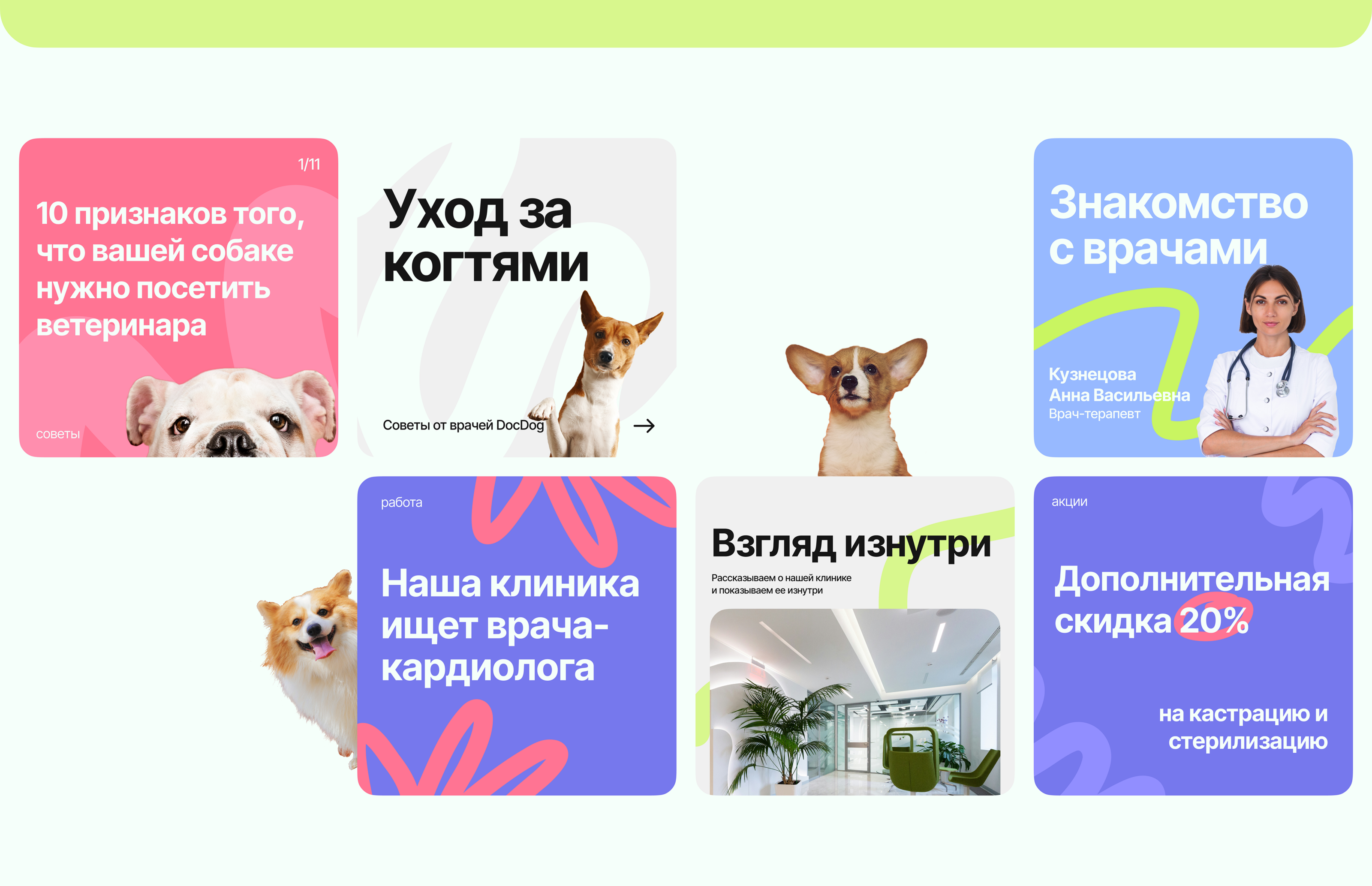 Лендинг - Ветеринарная клиника DocDog — Изображение №8 — Интерфейсы, Графика на Dprofile