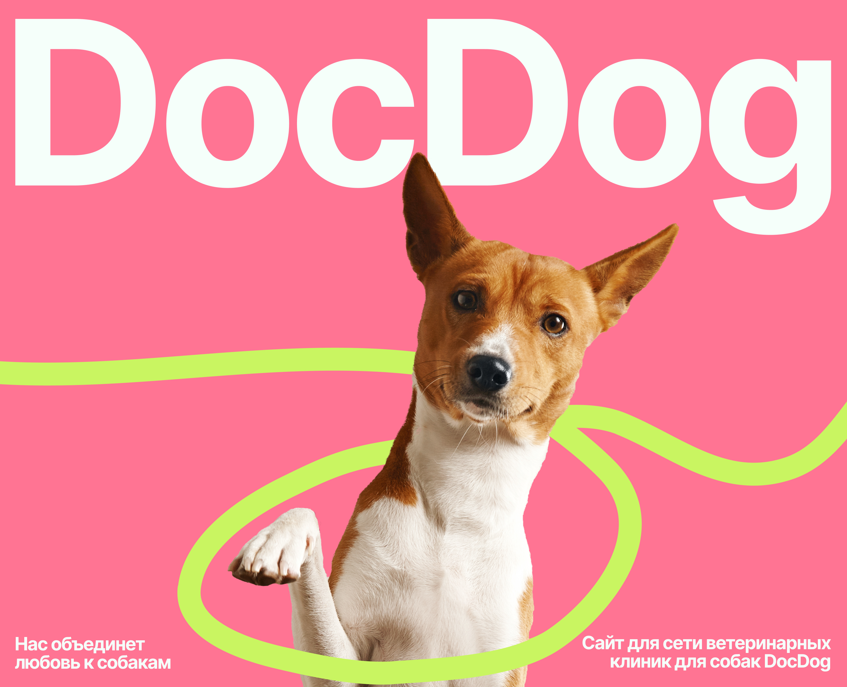Лендинг - Ветеринарная клиника DocDog на Dprofile