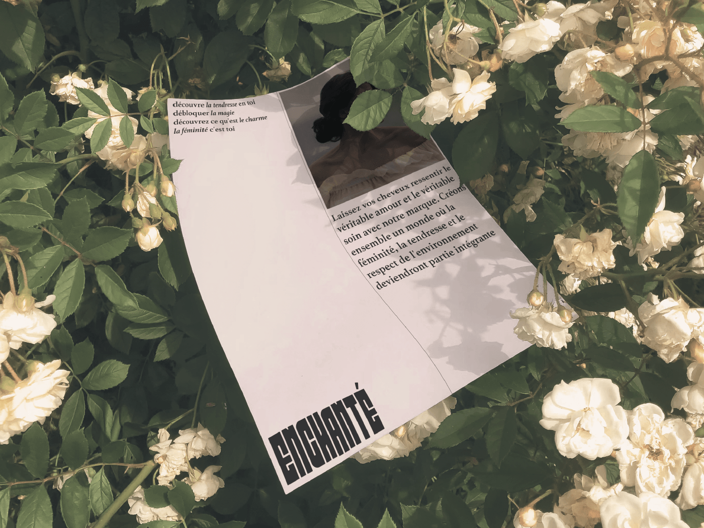 Enchanté / identity for a brand of hair cosmetics — Изображение №9 — Брендинг на Dprofile