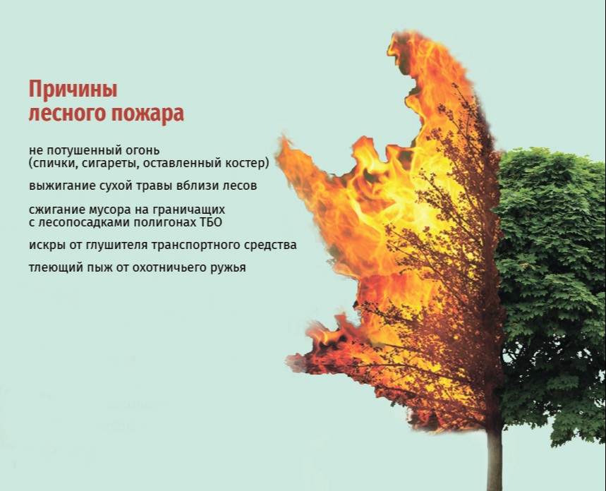 плакат на экологическую тему — Графика на Dprofile