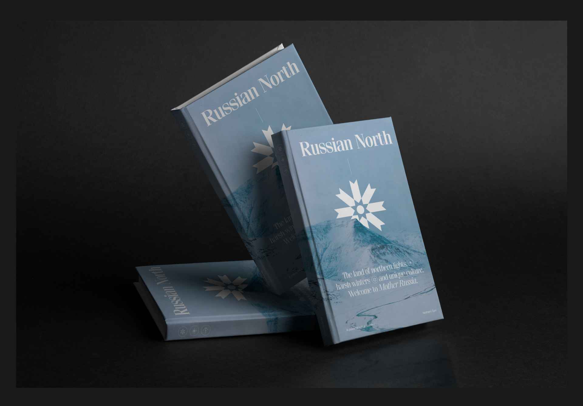 Russian North | web-design — Изображение №9 — Интерфейсы, Анимация на Dprofile
