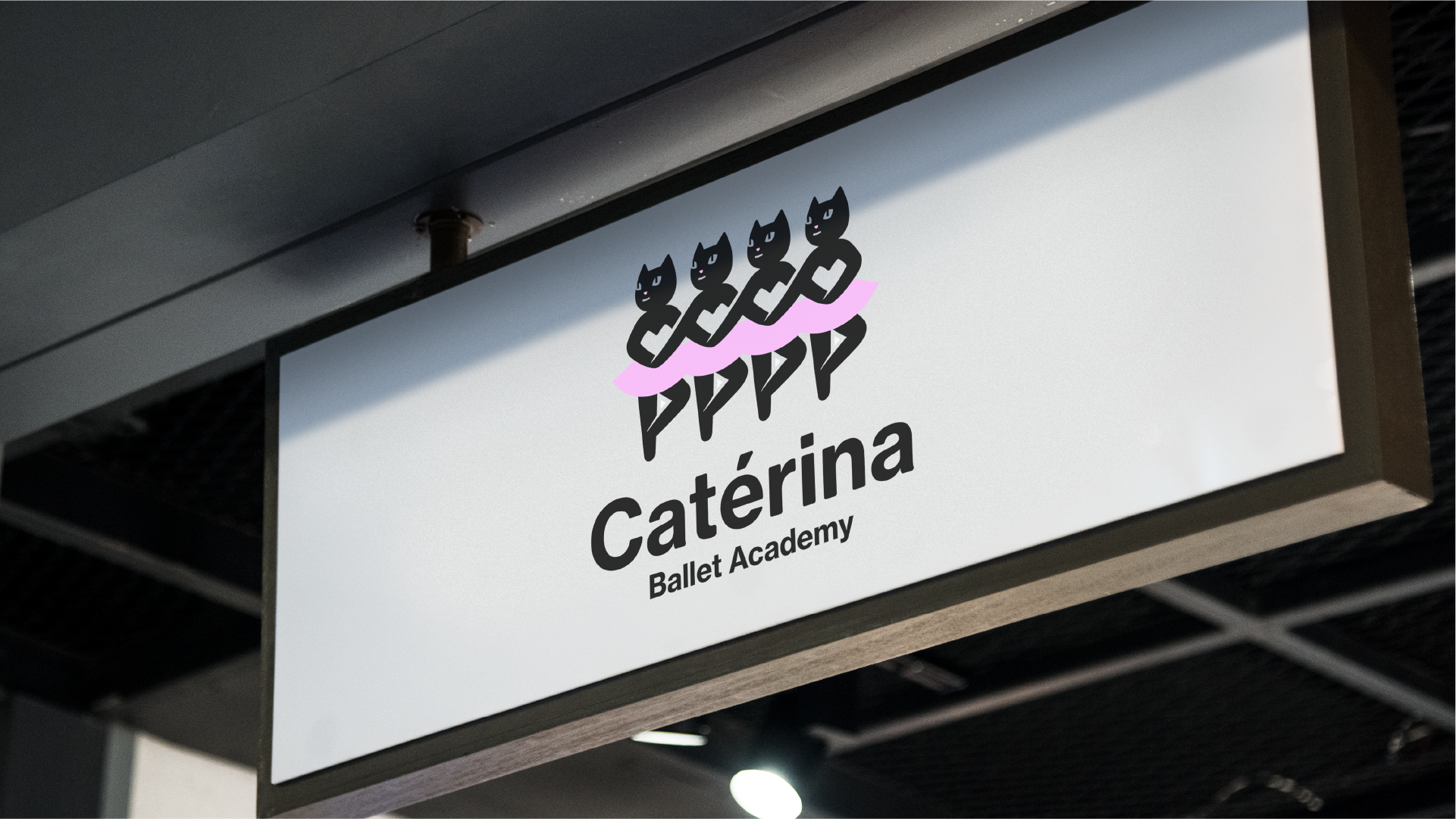 Caterina - Академия балета — Изображение №8 — Брендинг, Графика на Dprofile