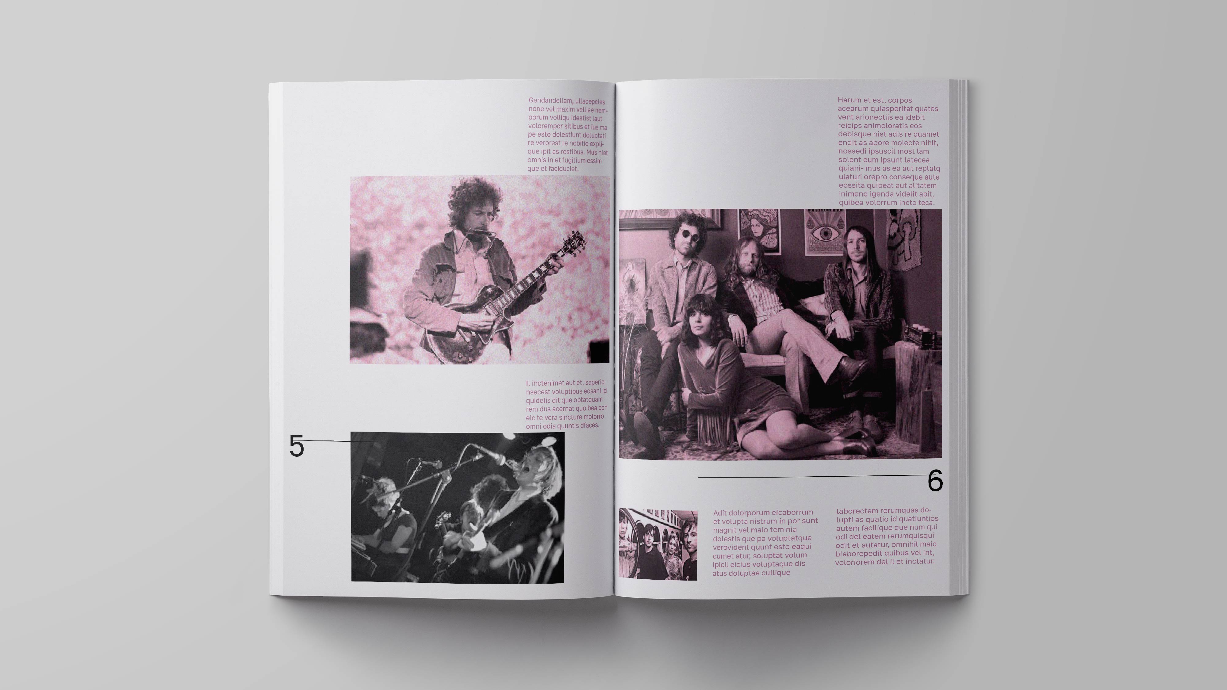 Prunus. Indie folk music recording studio. — Изображение №6 — Графика на Dprofile