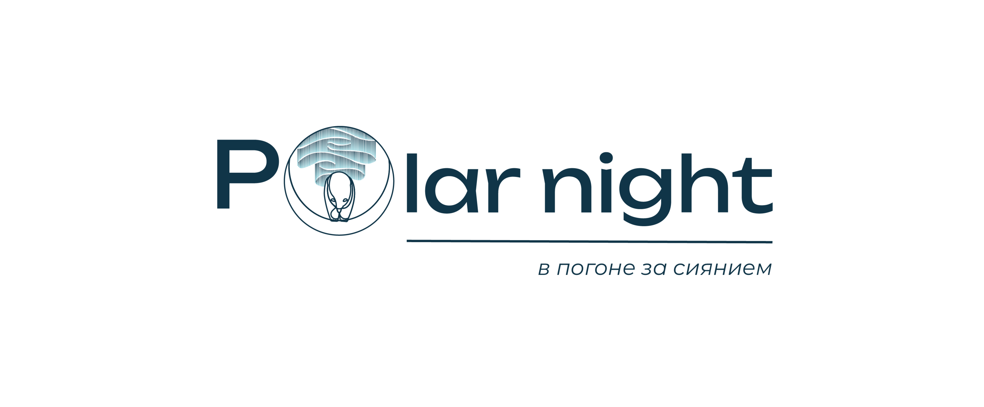 Polar night — Изображение №3 — Брендинг на Dprofile