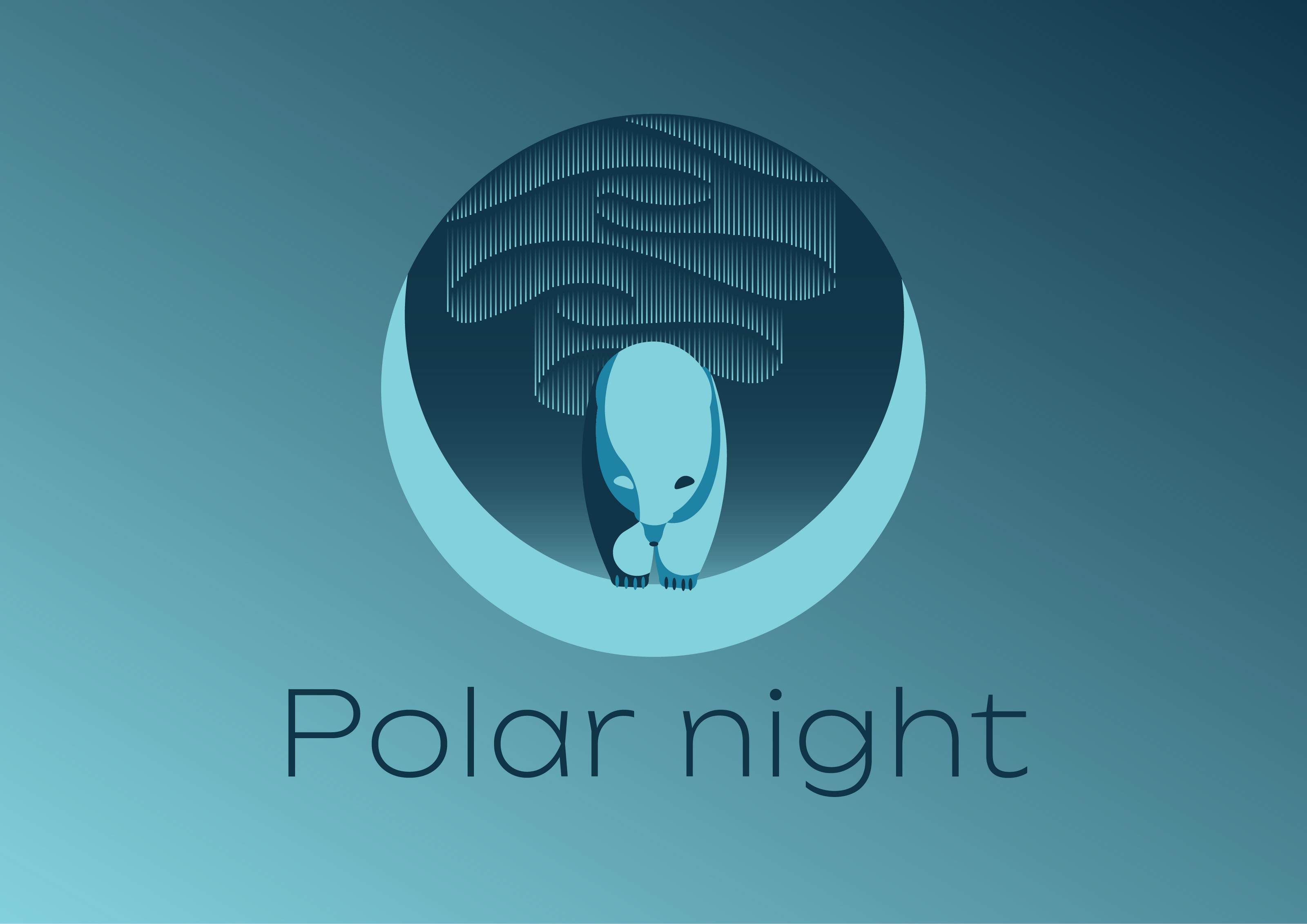 Polar night — Изображение №1 — Брендинг на Dprofile