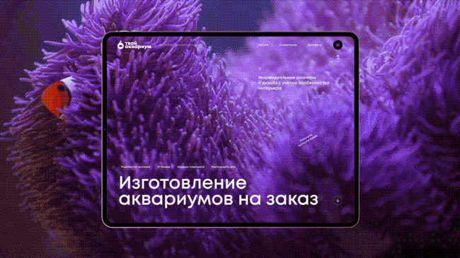 Oxem Showreel'24 — Изображение №3 — Анимация на Dprofile