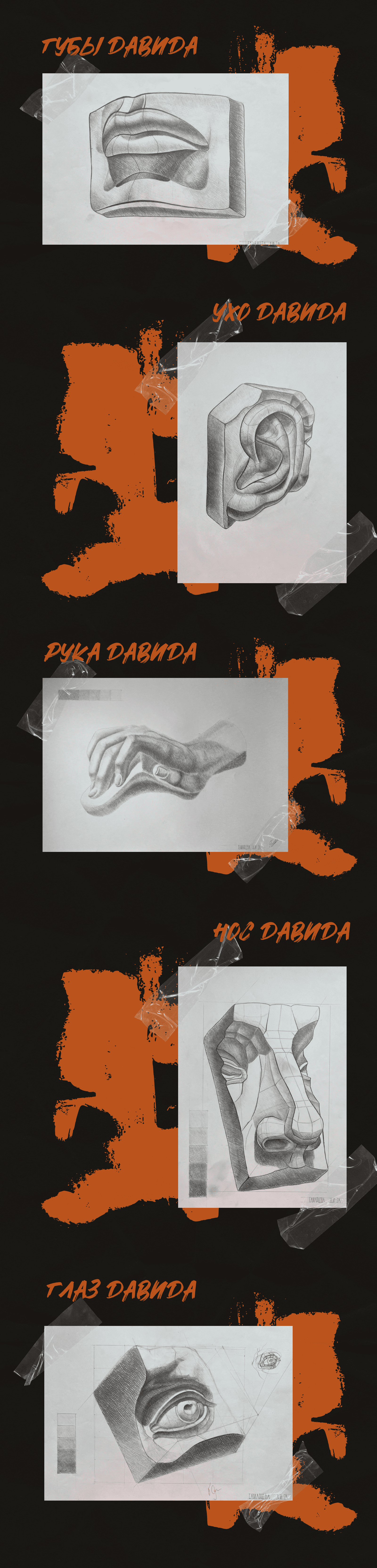 Академический рисунок — Изображение №1 — Графика на Dprofile