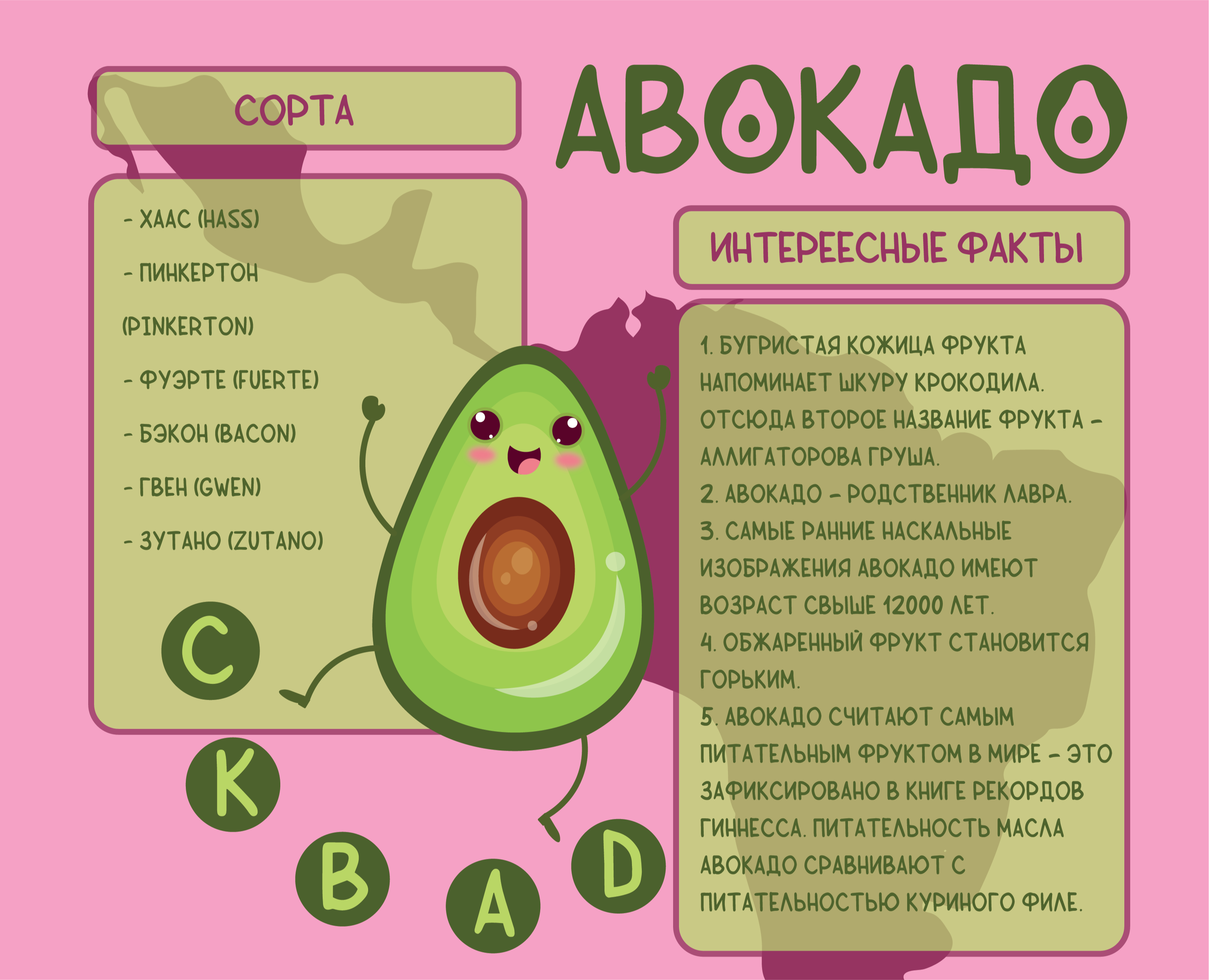 Инфографика о полезных свойствах авокадо на Dprofile