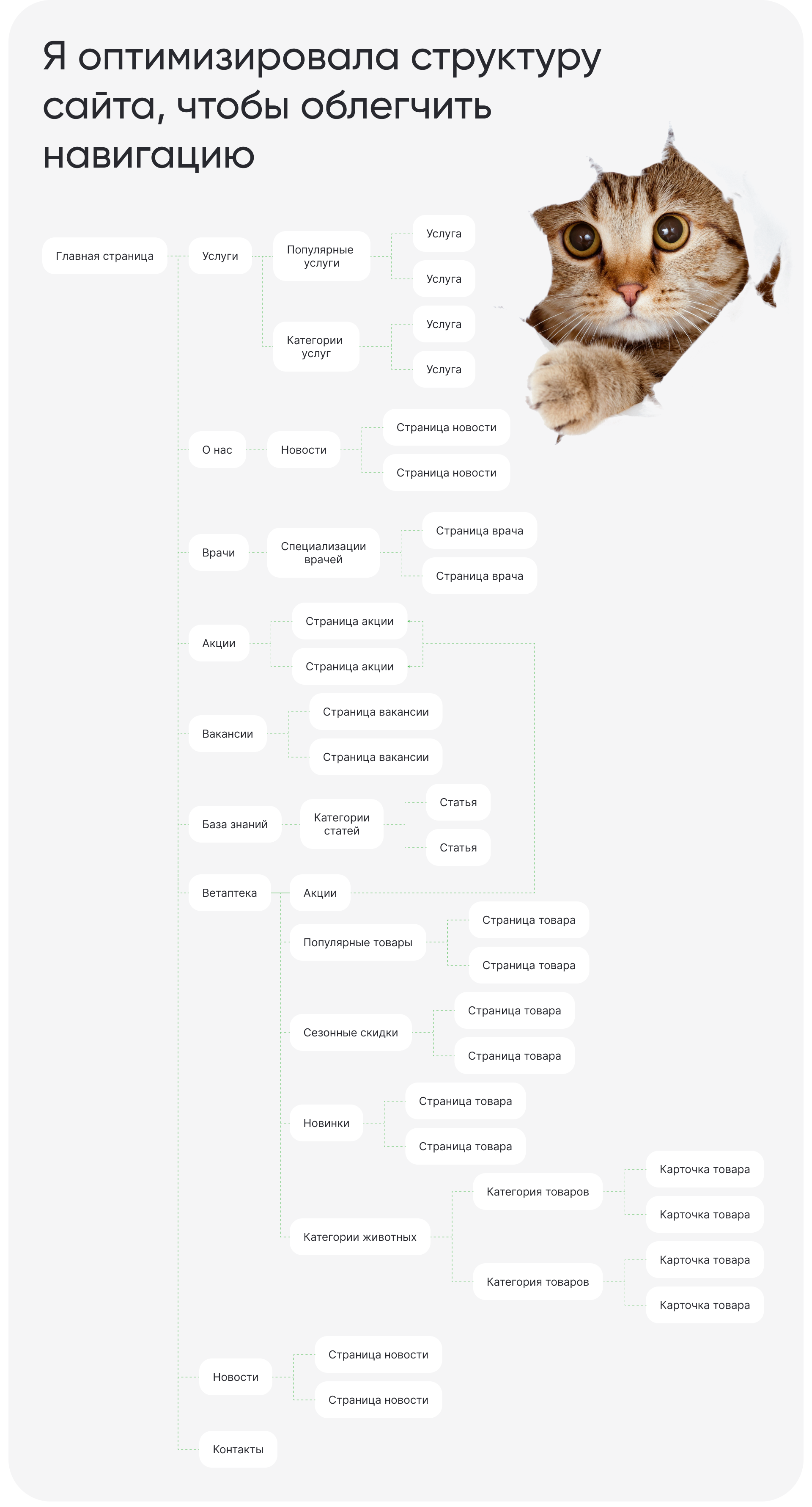 Veterinary clinic website | Сайт ветеринарной клиники — Изображение №3 — Интерфейсы на Dprofile