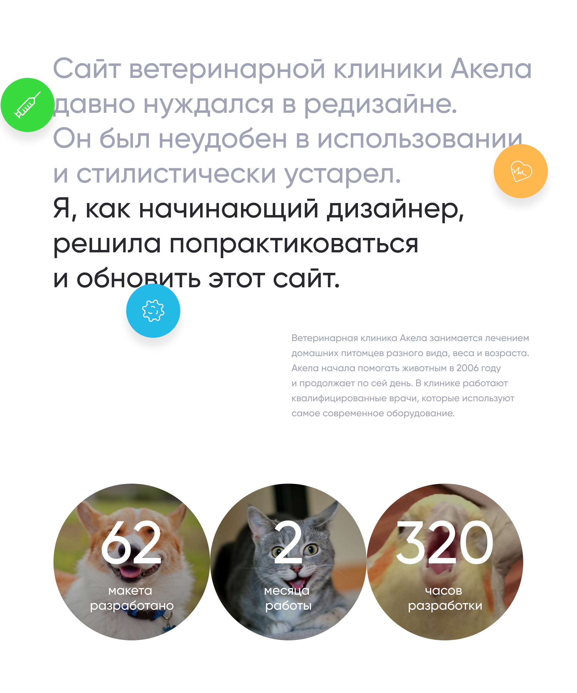 Veterinary clinic website | Сайт ветеринарной клиники — Изображение №2 — Интерфейсы на Dprofile