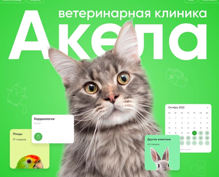 Veterinary clinic website | Сайт ветеринарной клиники — Интерфейсы на Dprofile