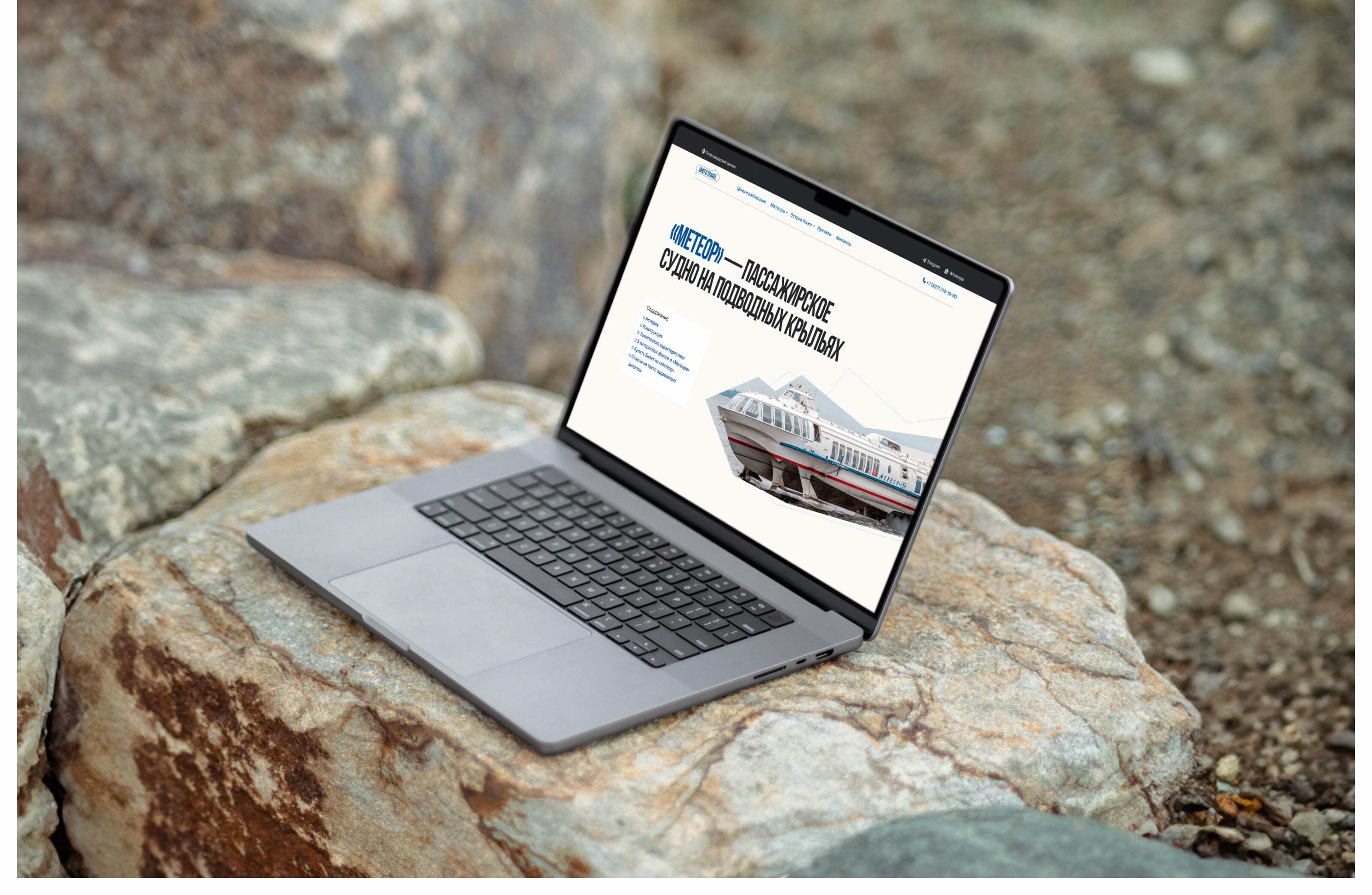 ОнегоTravel — сайт для покупки билетов на «Метеор» — Изображение №3 — Интерфейсы, Анимация на Dprofile