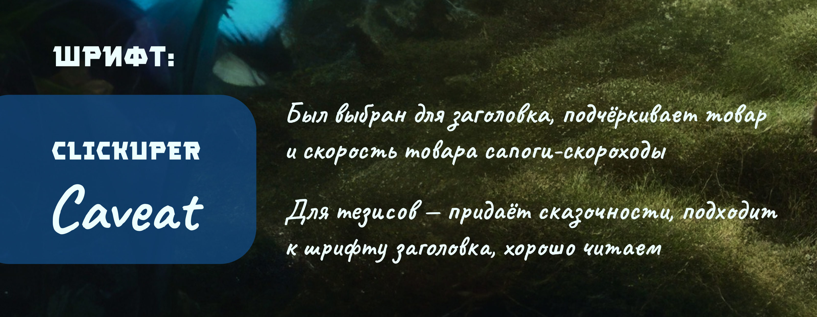 Дизайн карточки товара для конкурса Лукоморье — Изображение №5 — Графика, Маркетинг на Dprofile