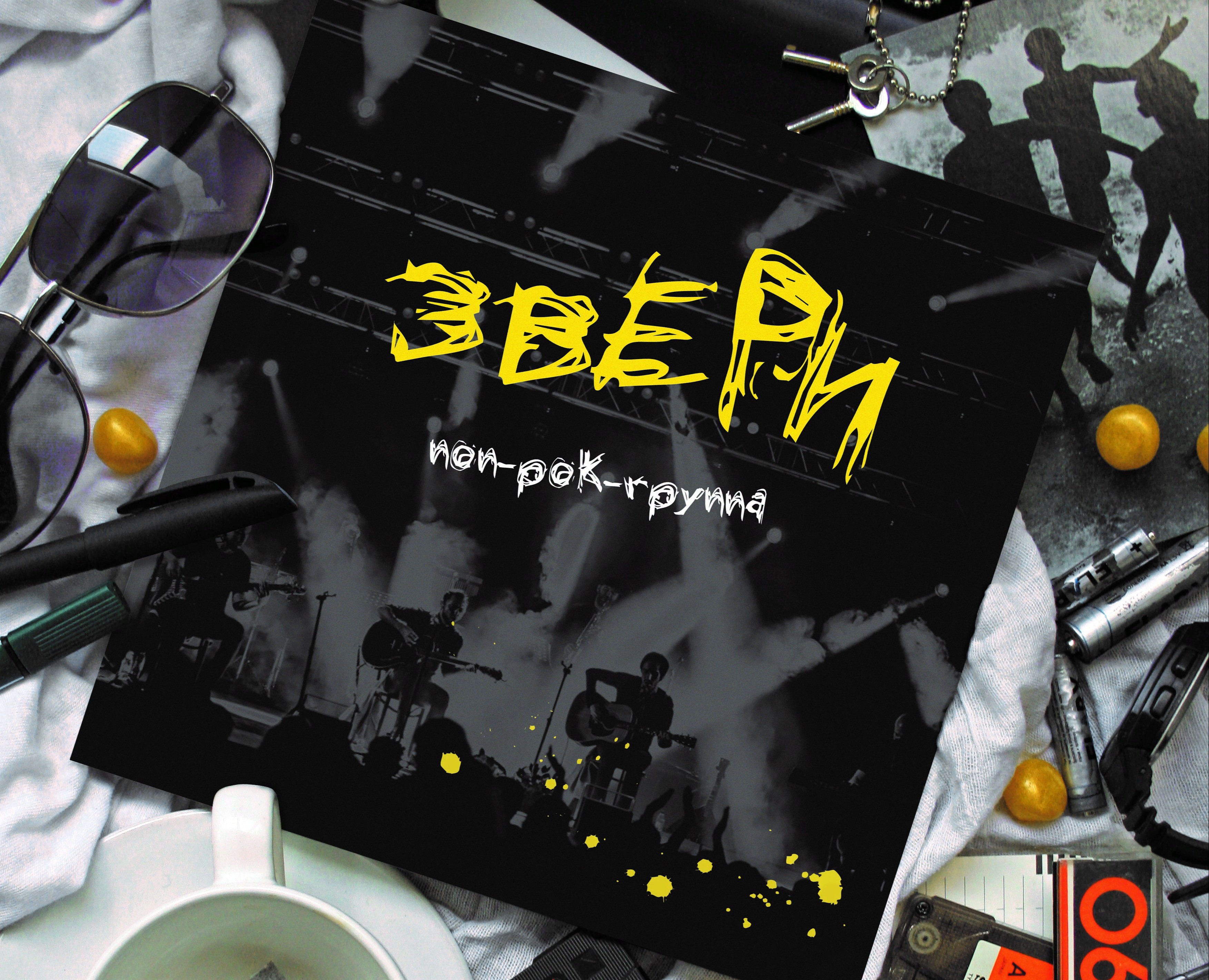 Книга "группа ЗВЕРИ" (айдентика) на Dprofile