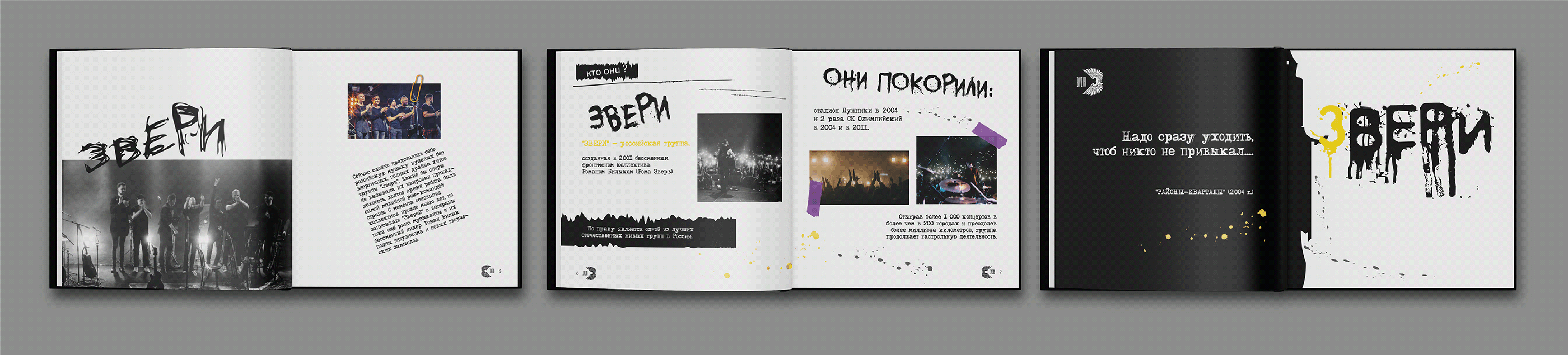 Книга "группа ЗВЕРИ" (айдентика) — Изображение №4 — Брендинг, Графика на Dprofile