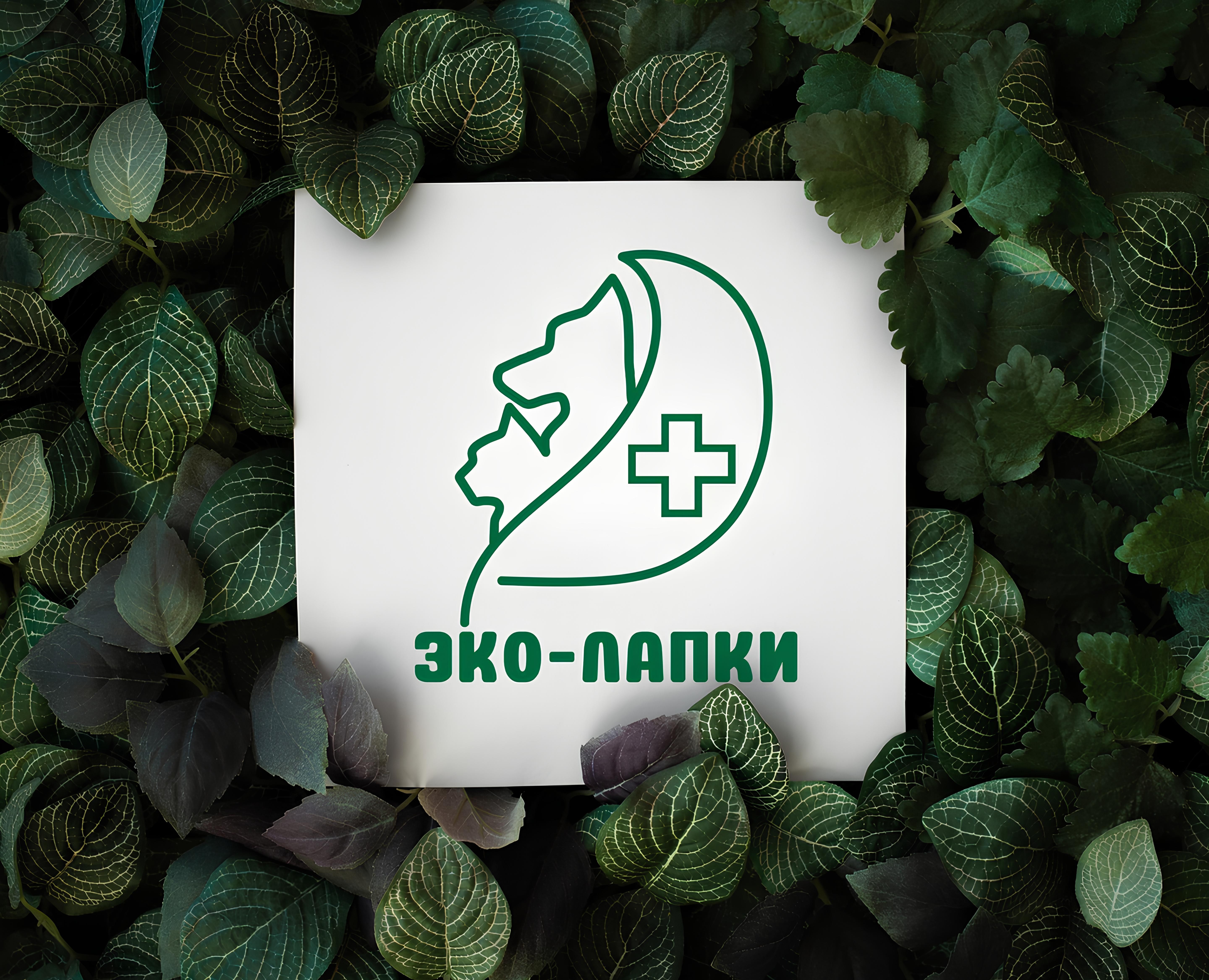 Логотип для компании "ЭКО-ЛАПКИ" — Брендинг на Dprofile