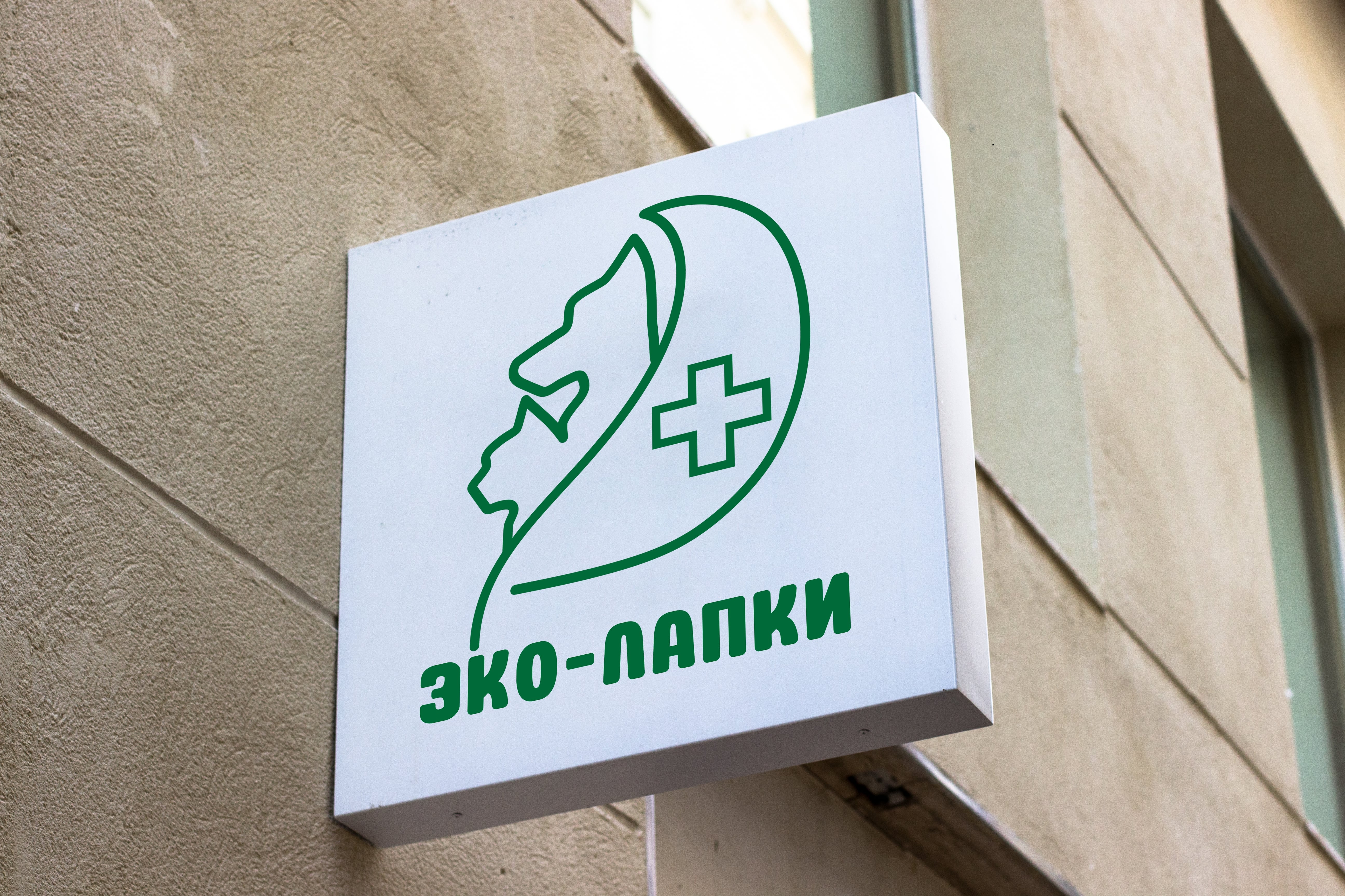 Логотип для компании "ЭКО-ЛАПКИ" — Изображение №2 — Брендинг на Dprofile
