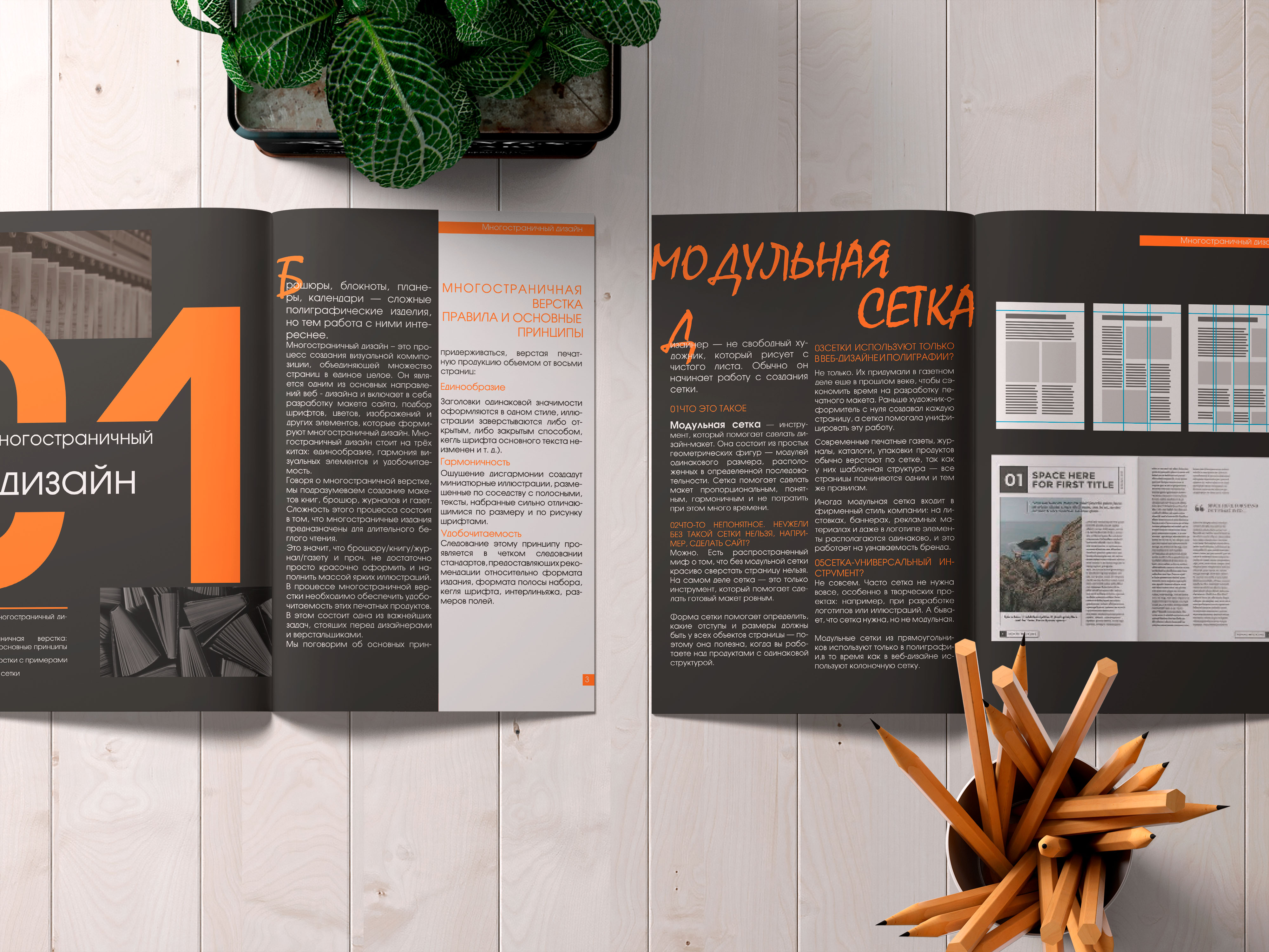 Верстка тематического журнала А4 — Изображение №4 — Графика на Dprofile