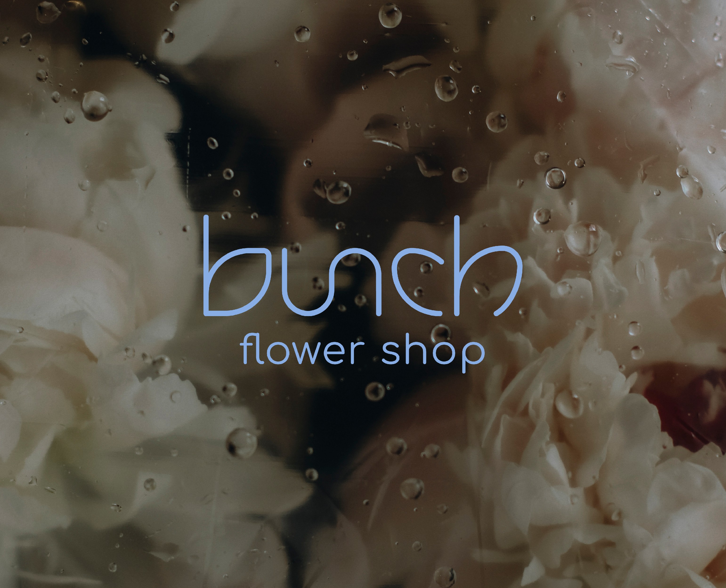 Bunch, brand identity, фирменный стиль — Брендинг на Dprofile