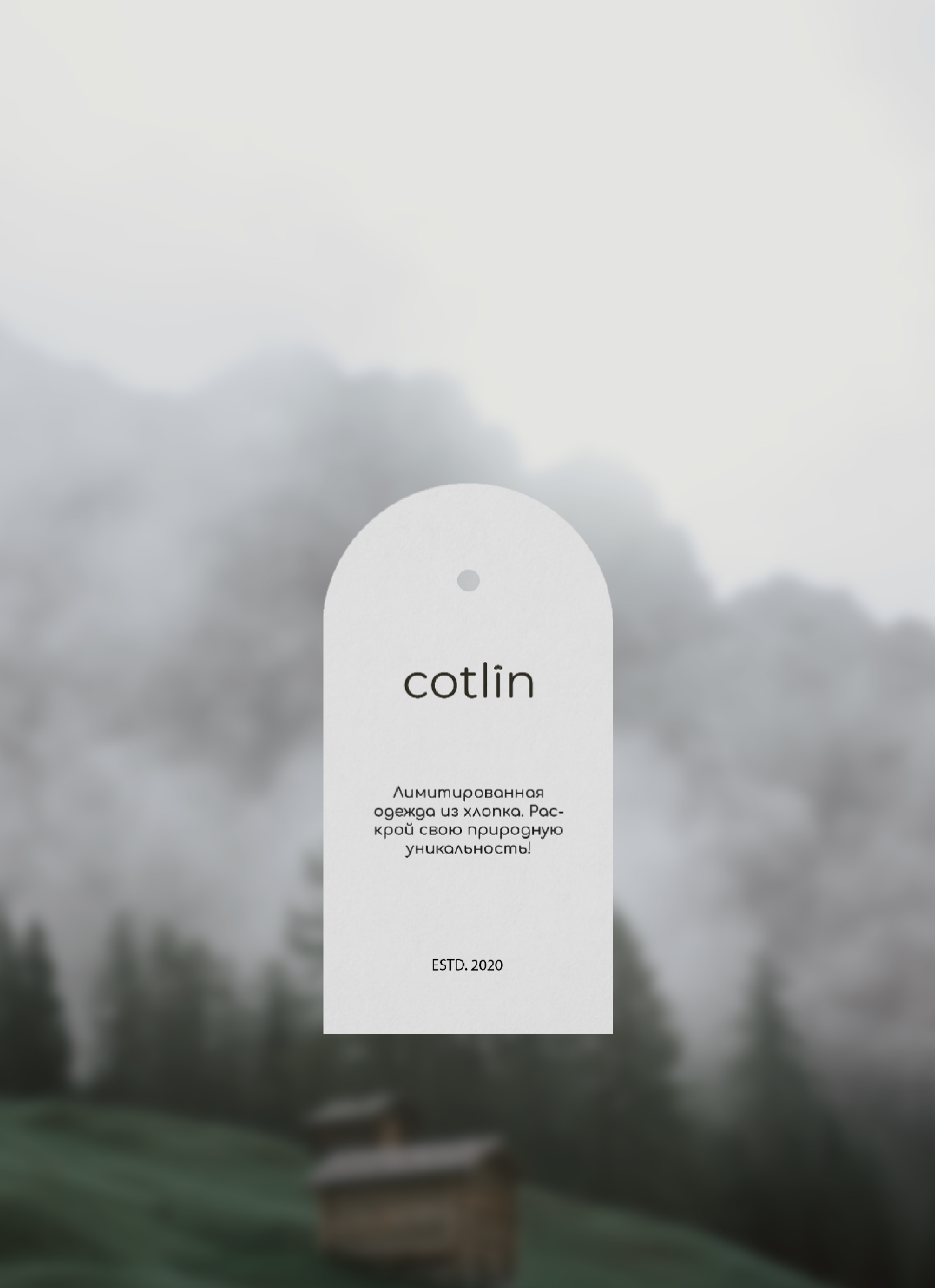 Фирменный стиль для бренда одежды COTLIN — Изображение №5 — Брендинг на Dprofile