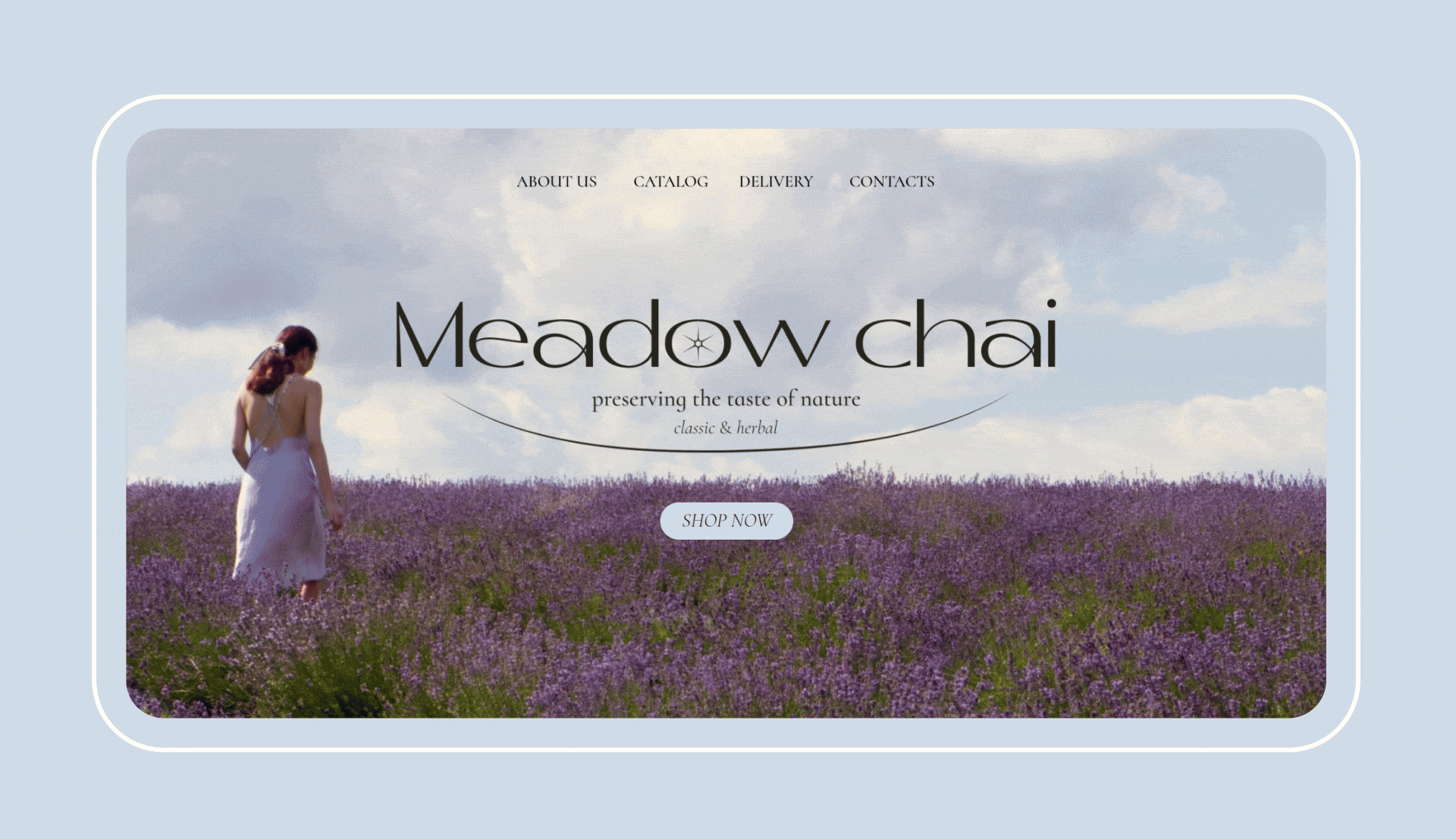 Айдентика и интернет-магазин для бренда чая | Meadow chai — Изображение №8 — Интерфейсы, Брендинг на Dprofile