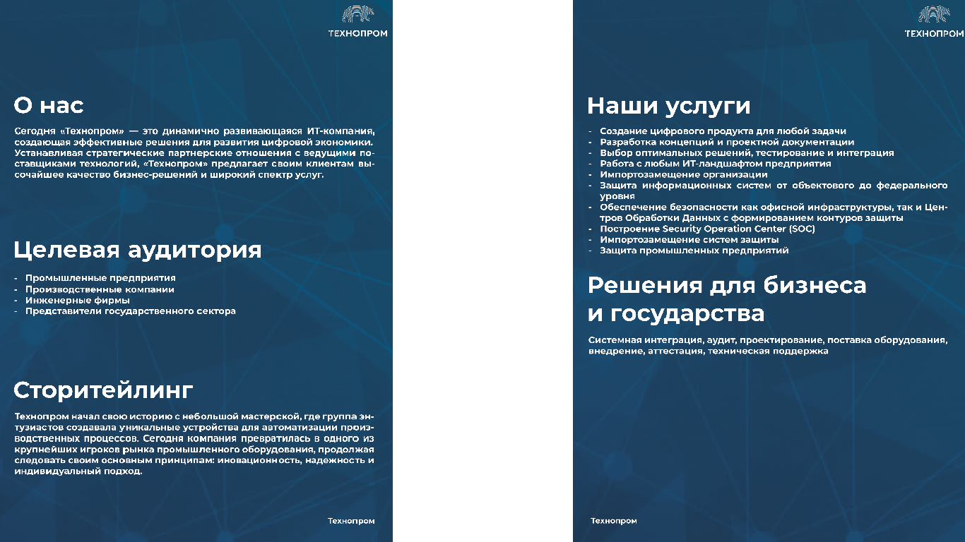 Логобук для IT-компании "Технопром" — Изображение №1 — Брендинг на Dprofile