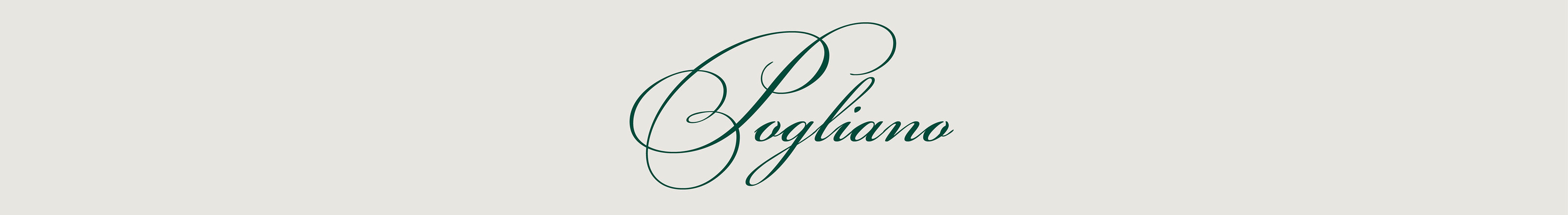 Фирменный стиль / Бренд одежды / POGLIANO — Изображение №2 — Брендинг на Dprofile