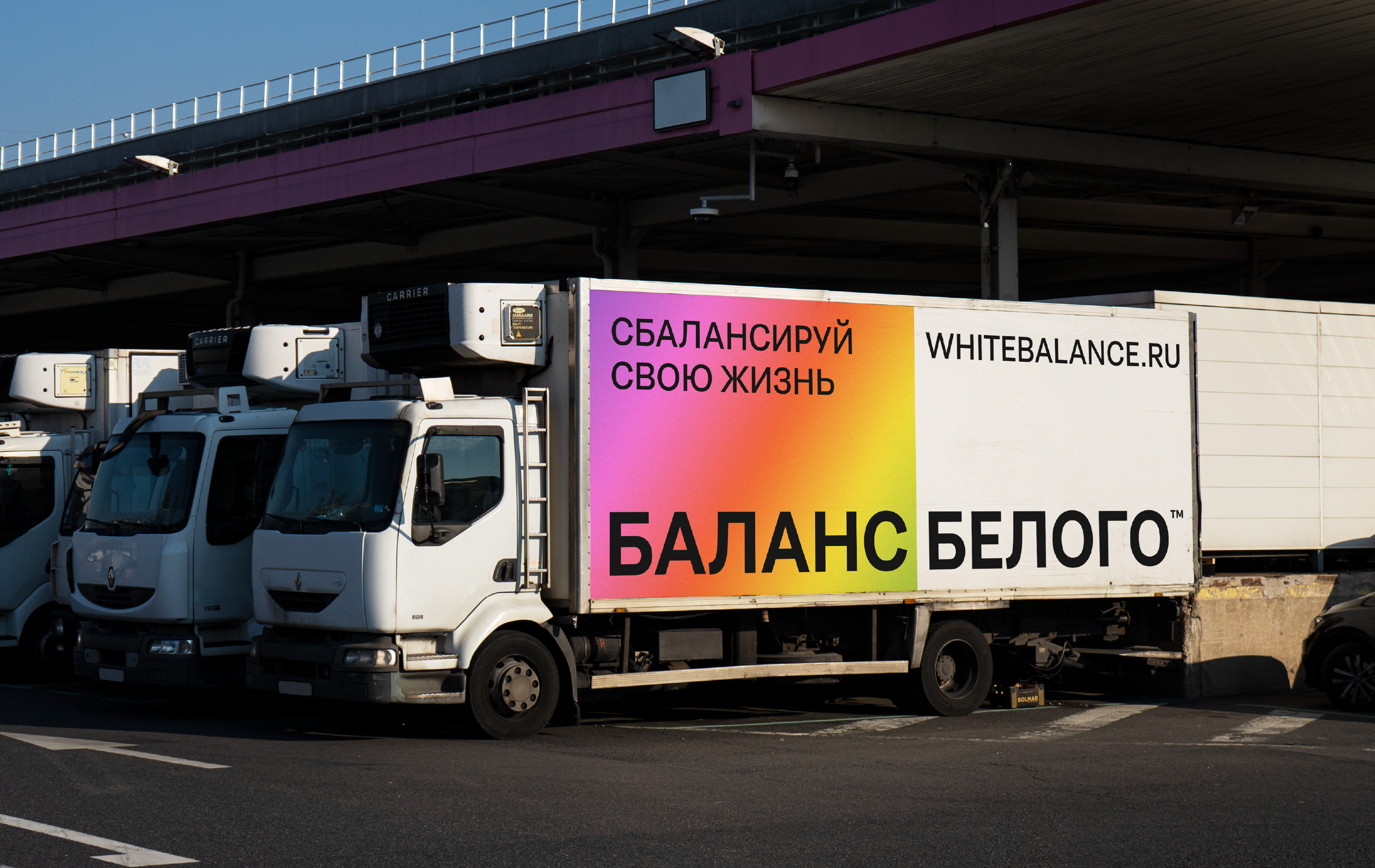 Баланс Белого — Изображение №16 — Брендинг, Графика на Dprofile