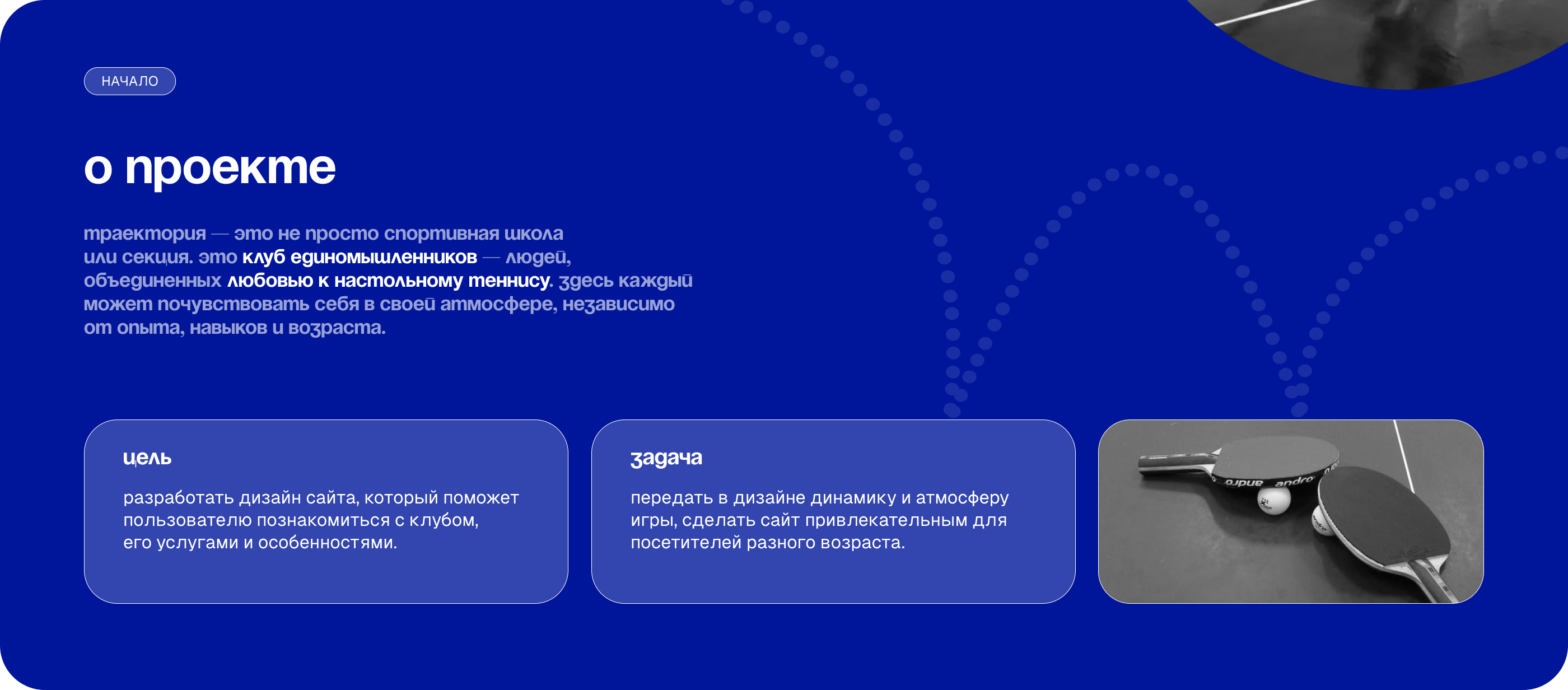 клуб настольного тенниса/landing page/website — Изображение №2 — Интерфейсы на Dprofile