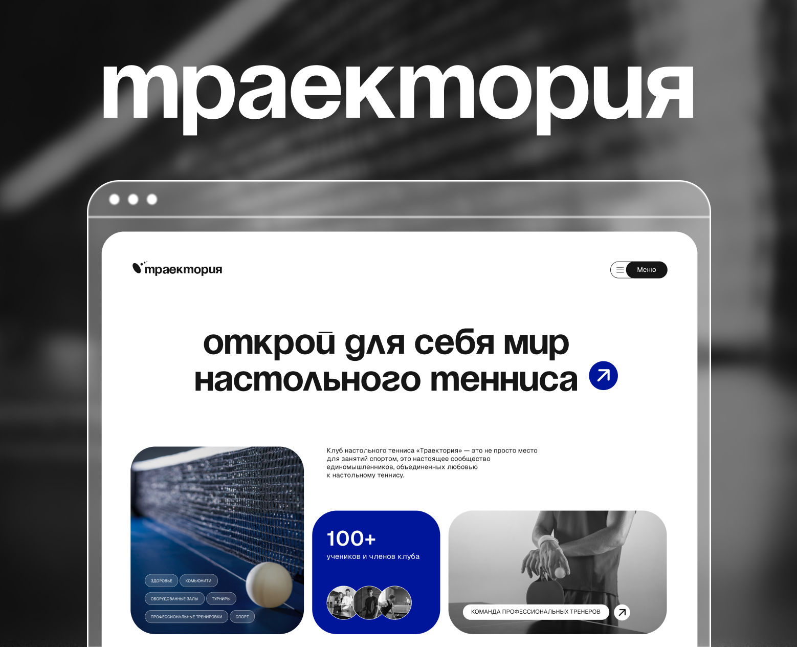 клуб настольного тенниса/landing page/website на Dprofile