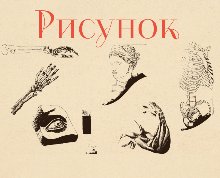 Академический рисунок — Иллюстрация, Графика на Dprofile