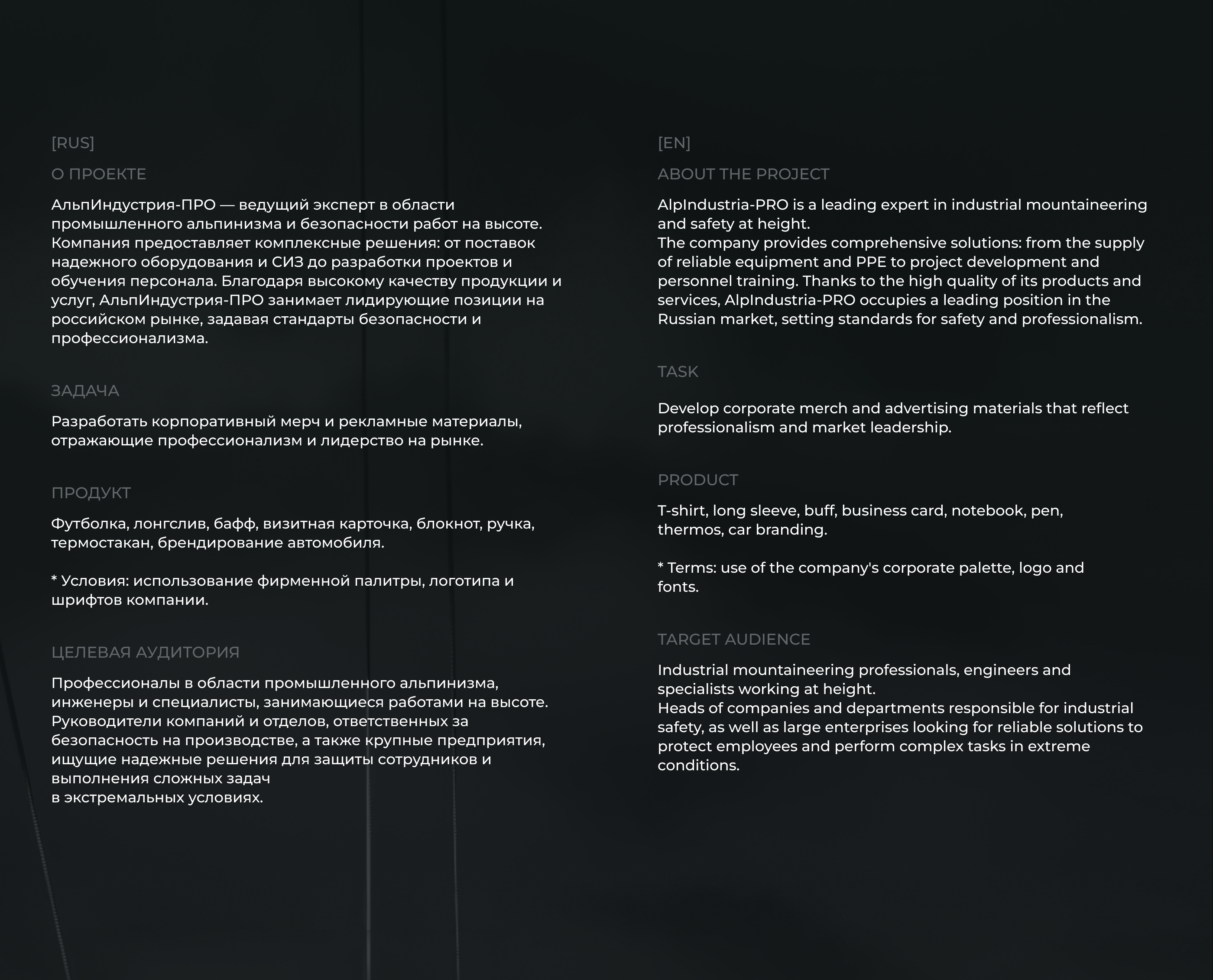 Corporate Design. Фирменный стиль Альпиндустрия-ПРО. — Изображение №2 — Брендинг на Dprofile