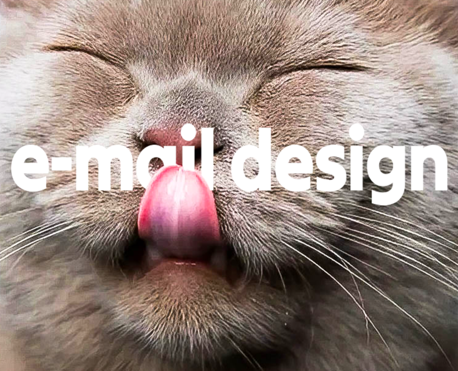 Email design. E-mail рассылка на Dprofile