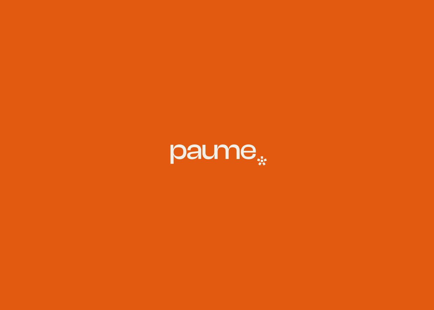 Бренд купальников PAUME | Фирменный стиль, логотип — Изображение №10 — Брендинг на Dprofile