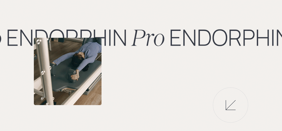 Endorphin | Website Design for pilates studio — Изображение №4 — Интерфейсы, Анимация на Dprofile