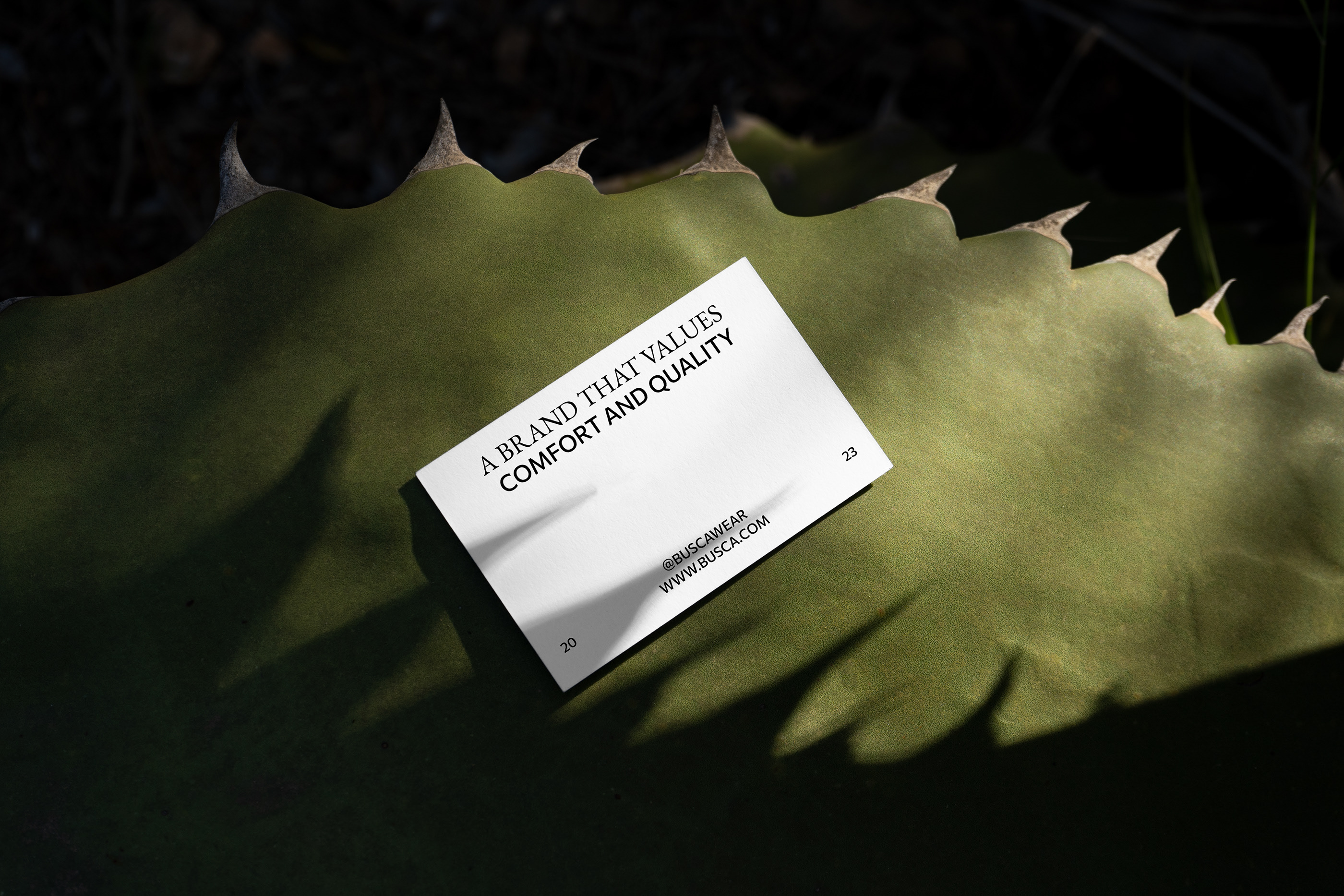 BUSCA BRAND IDENTITY — Изображение №3 — Брендинг на Dprofile