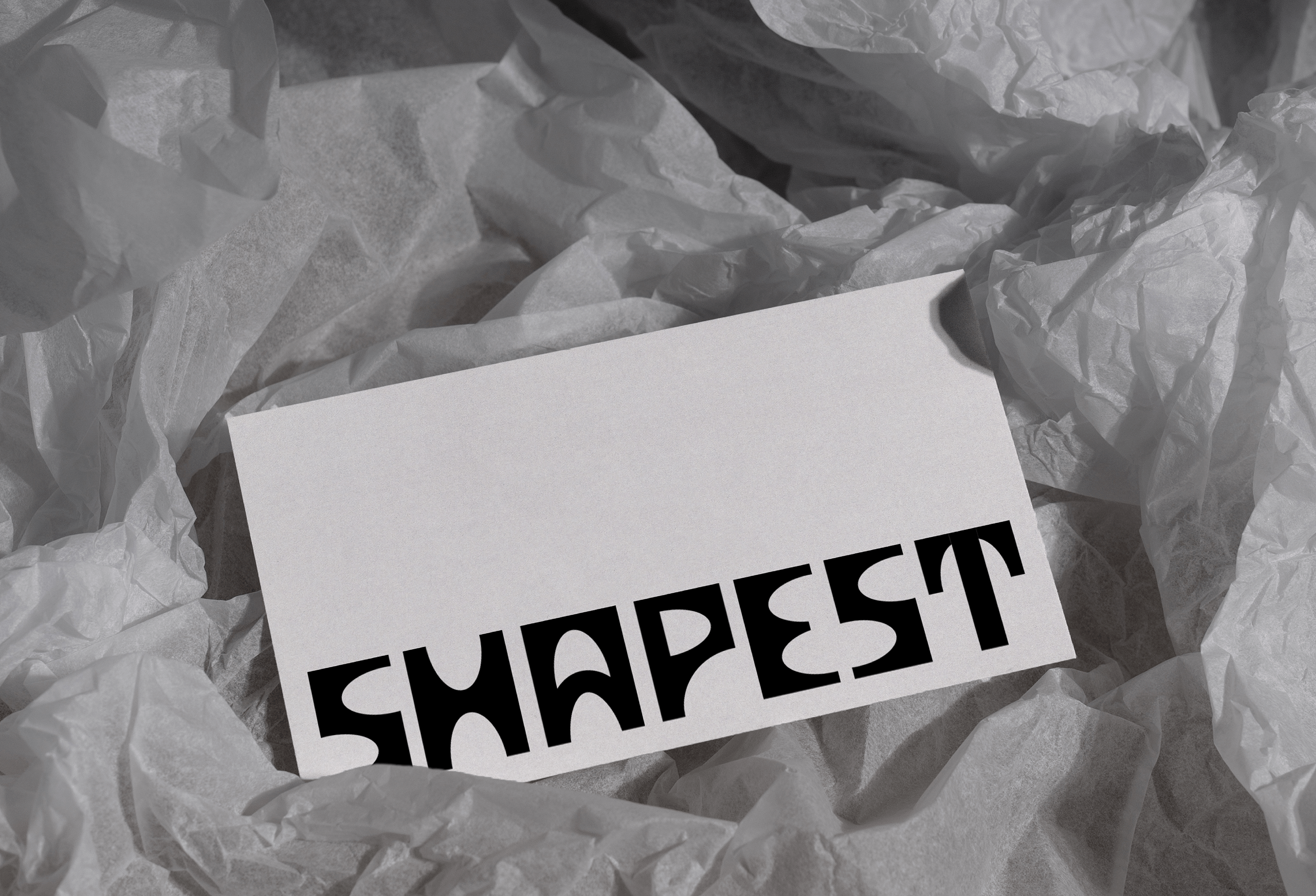 SHAPEST BRAND IDENTITY — Изображение №1 — Брендинг, Графика на Dprofile