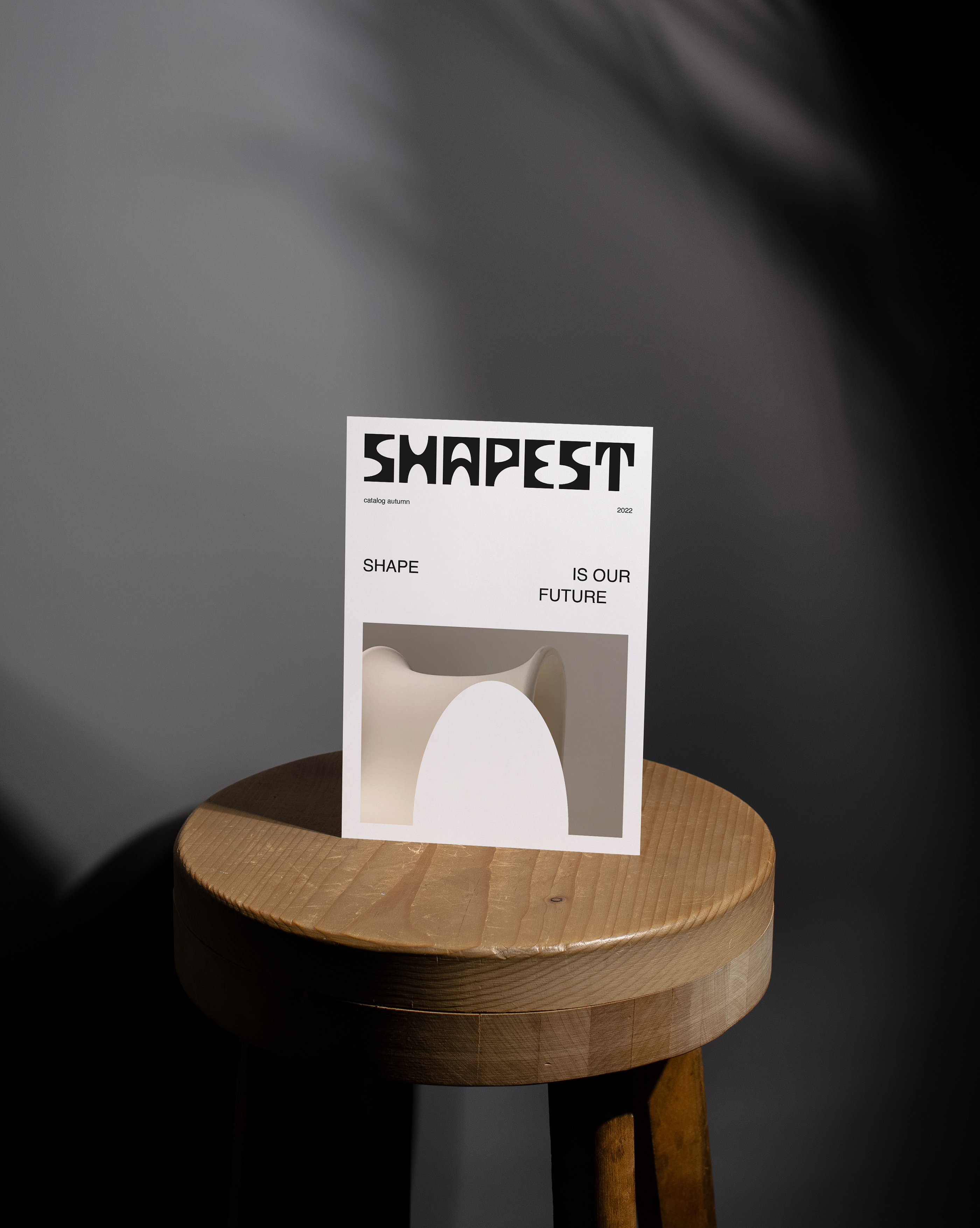 SHAPEST BRAND IDENTITY — Изображение №12 — Брендинг, Графика на Dprofile