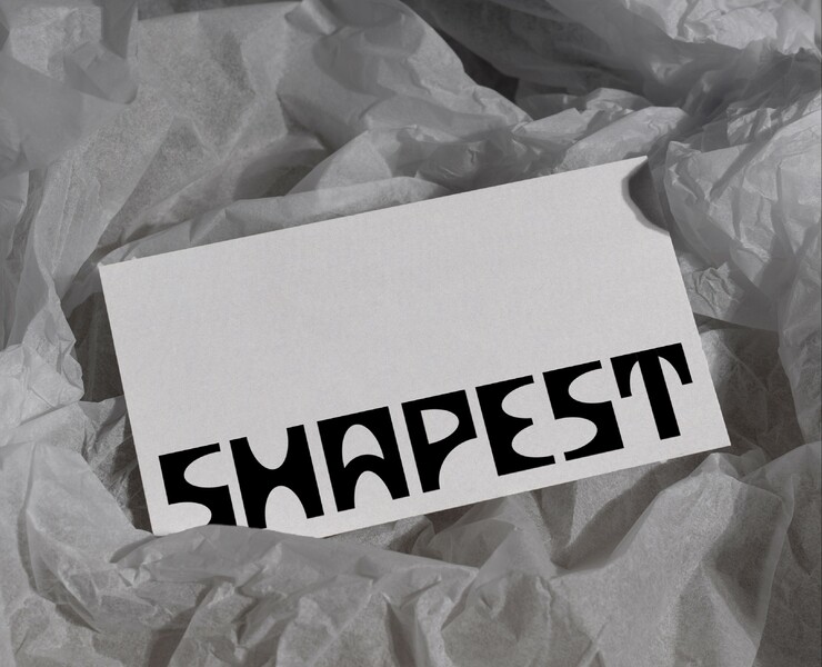 SHAPEST BRAND IDENTITY — Брендинг, Графика на Dprofile
