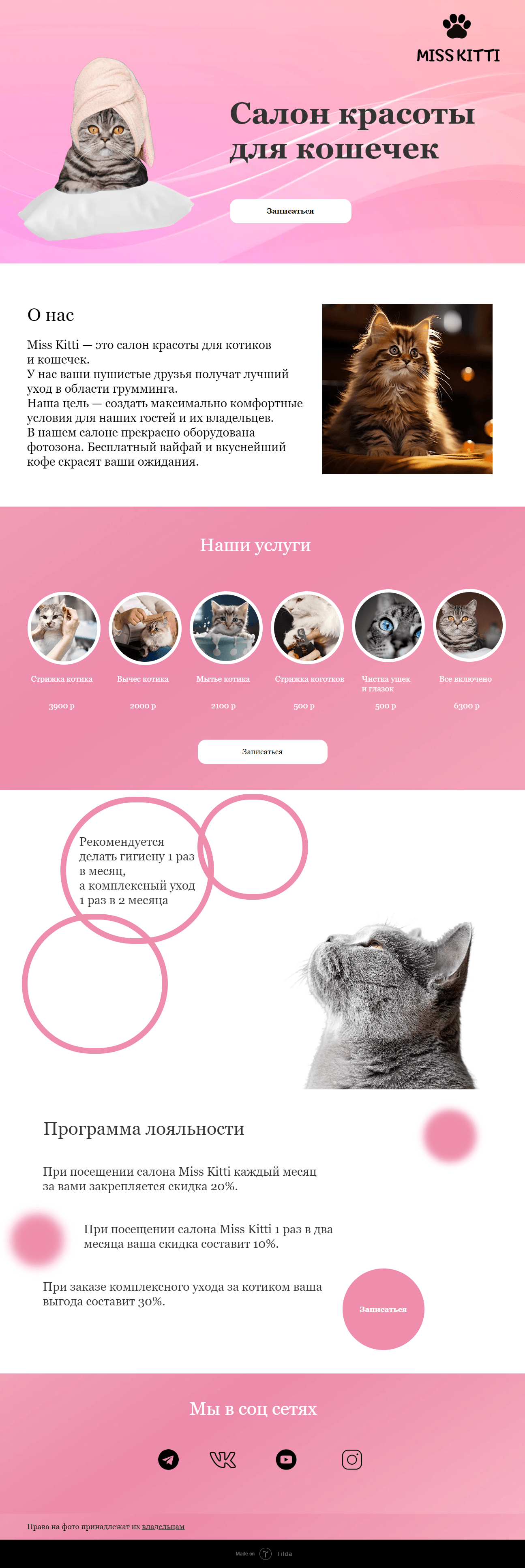 Салон красоты для кошечек Miss Kitti — Изображение №2 — Брендинг на Dprofile