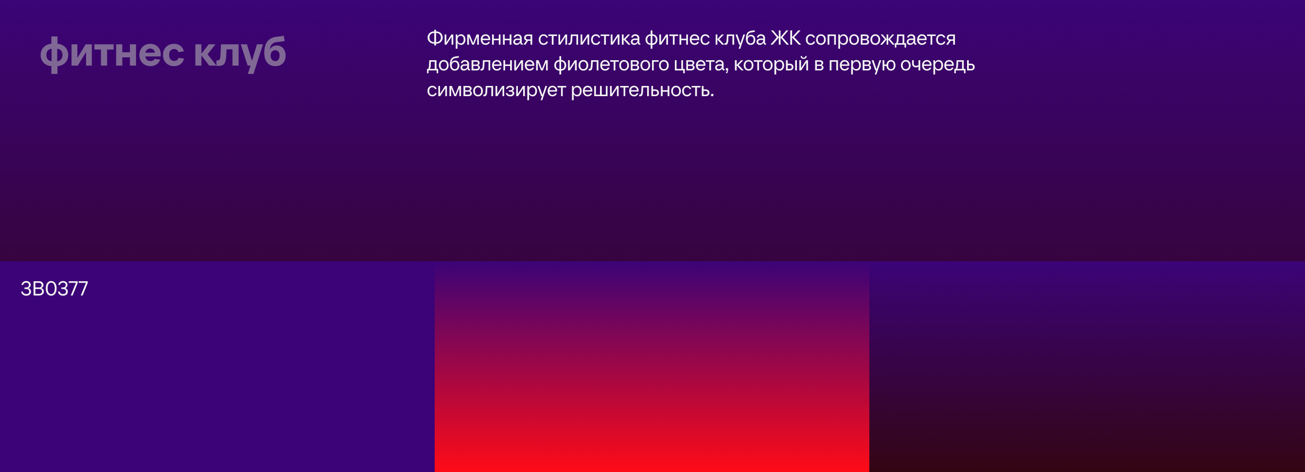Креатив на MAX | Комплексная концепция для ЖК — Изображение №23 — Брендинг, Маркетинг на Dprofile