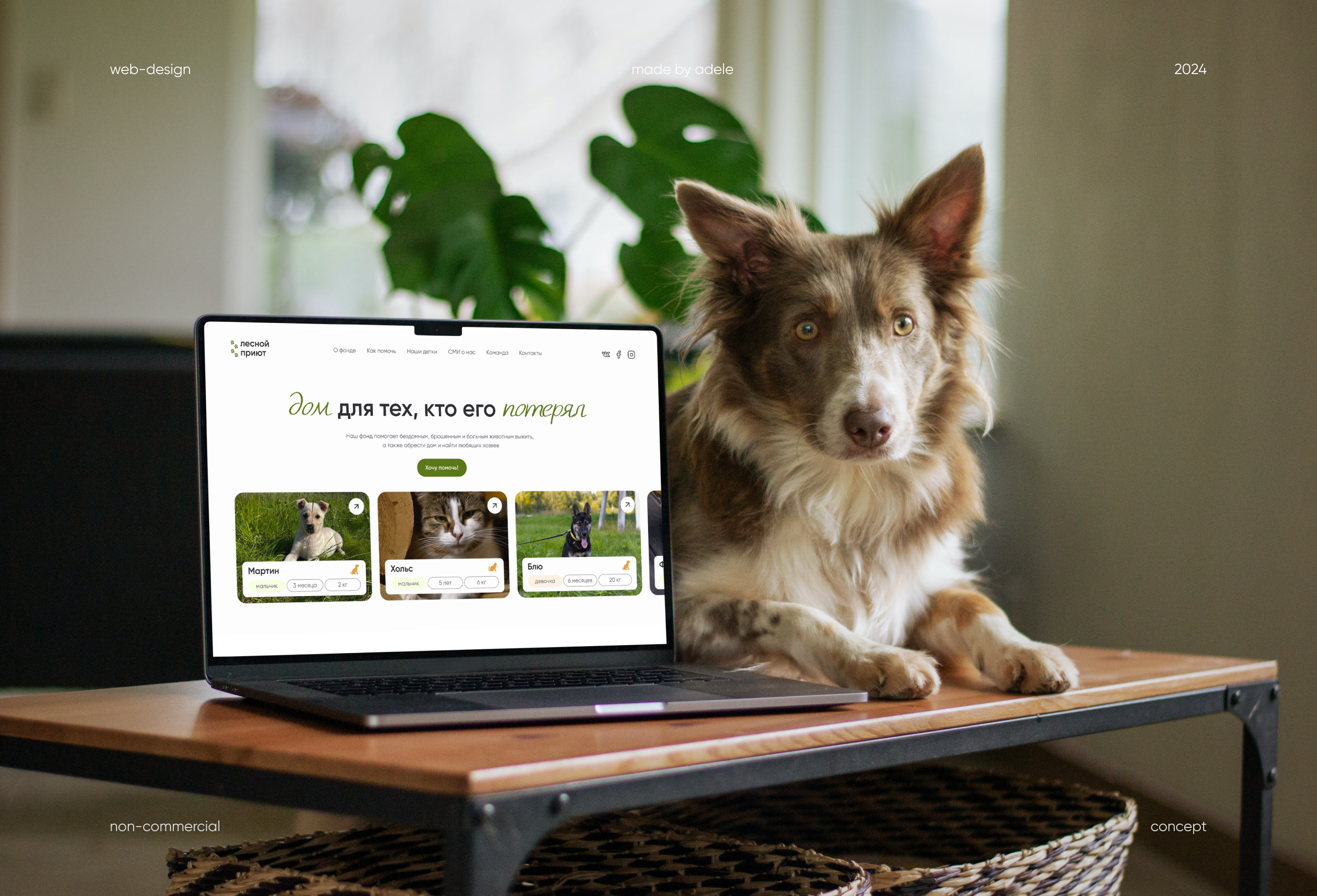 redesign website for animal shelter — Изображение №1 — Интерфейсы, Брендинг на Dprofile