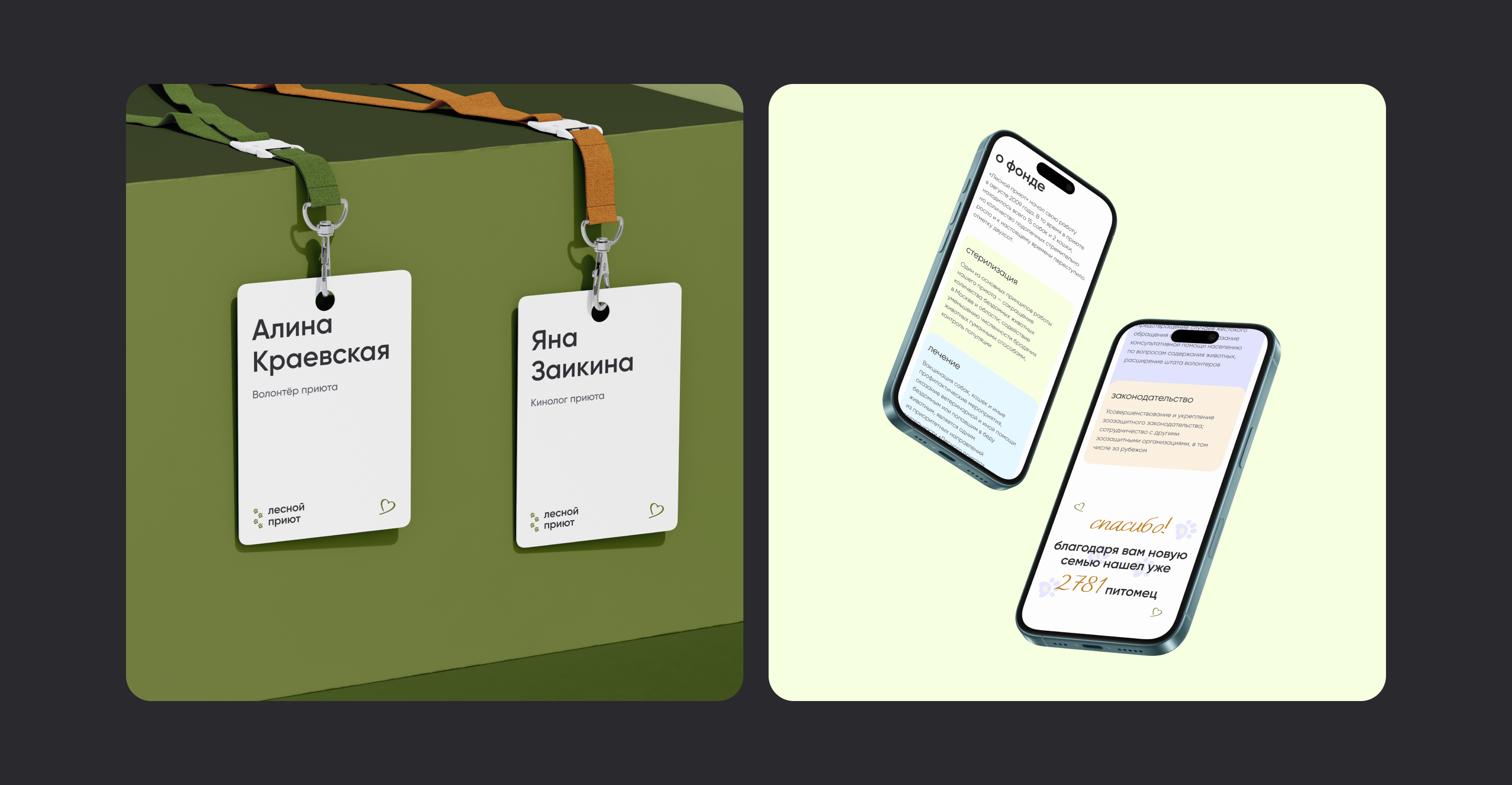 redesign website for animal shelter — Изображение №12 — Интерфейсы, Брендинг на Dprofile